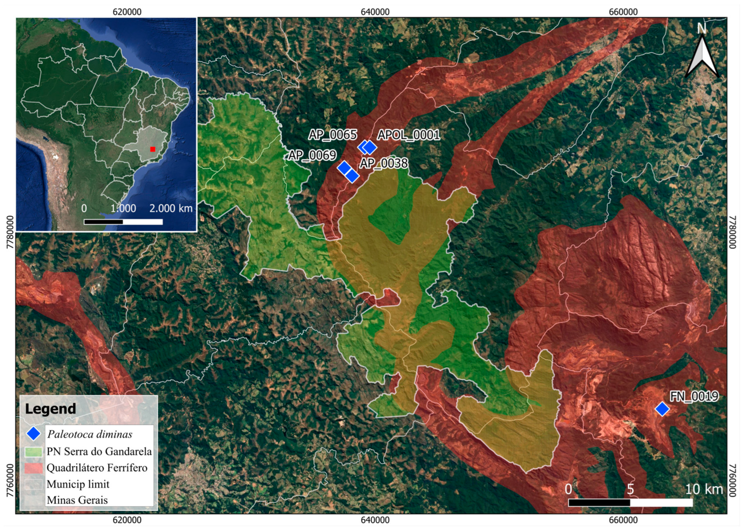 Taxonomy 04 00028 g011