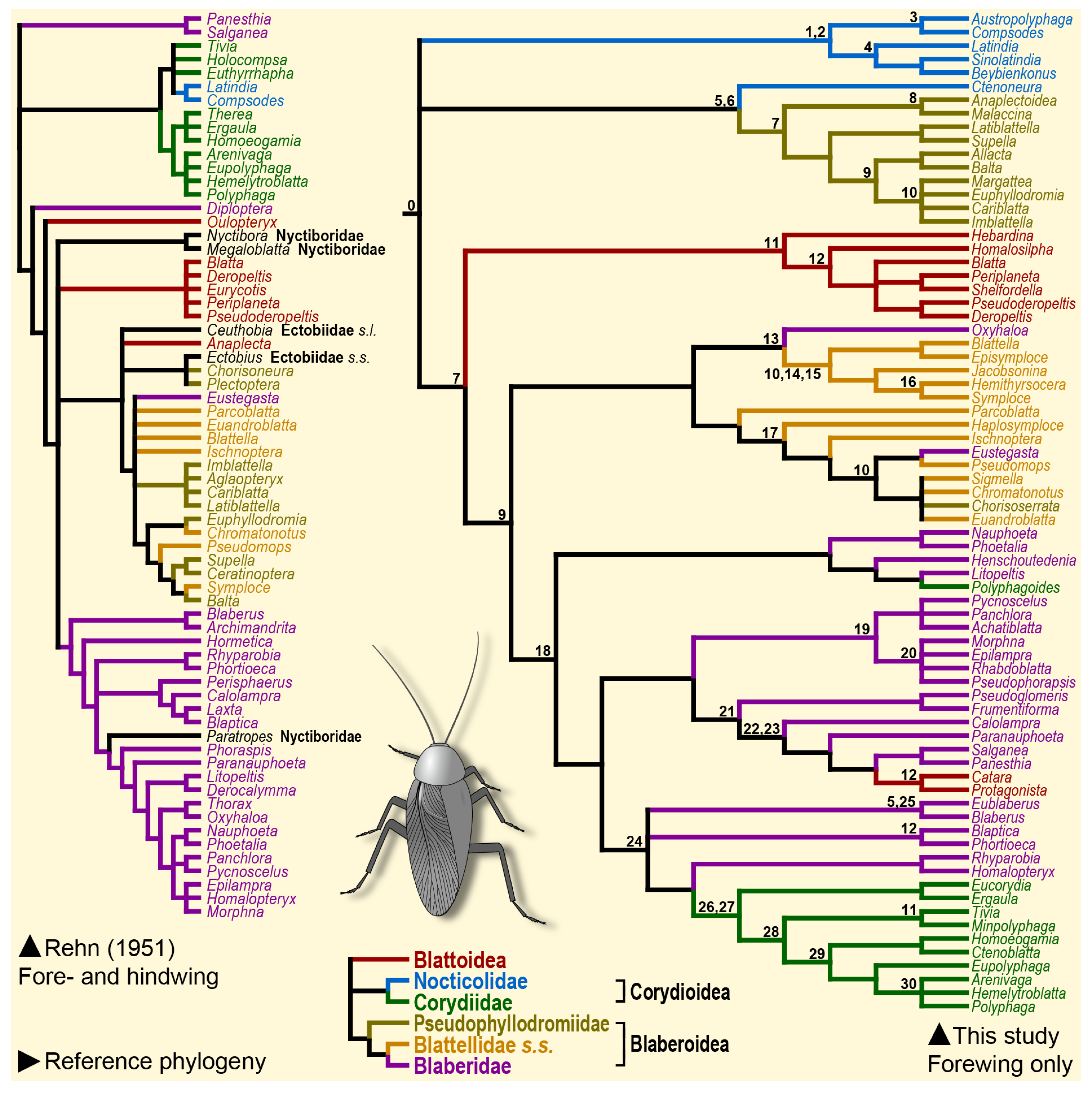 Taxonomy 04 00031 g002
