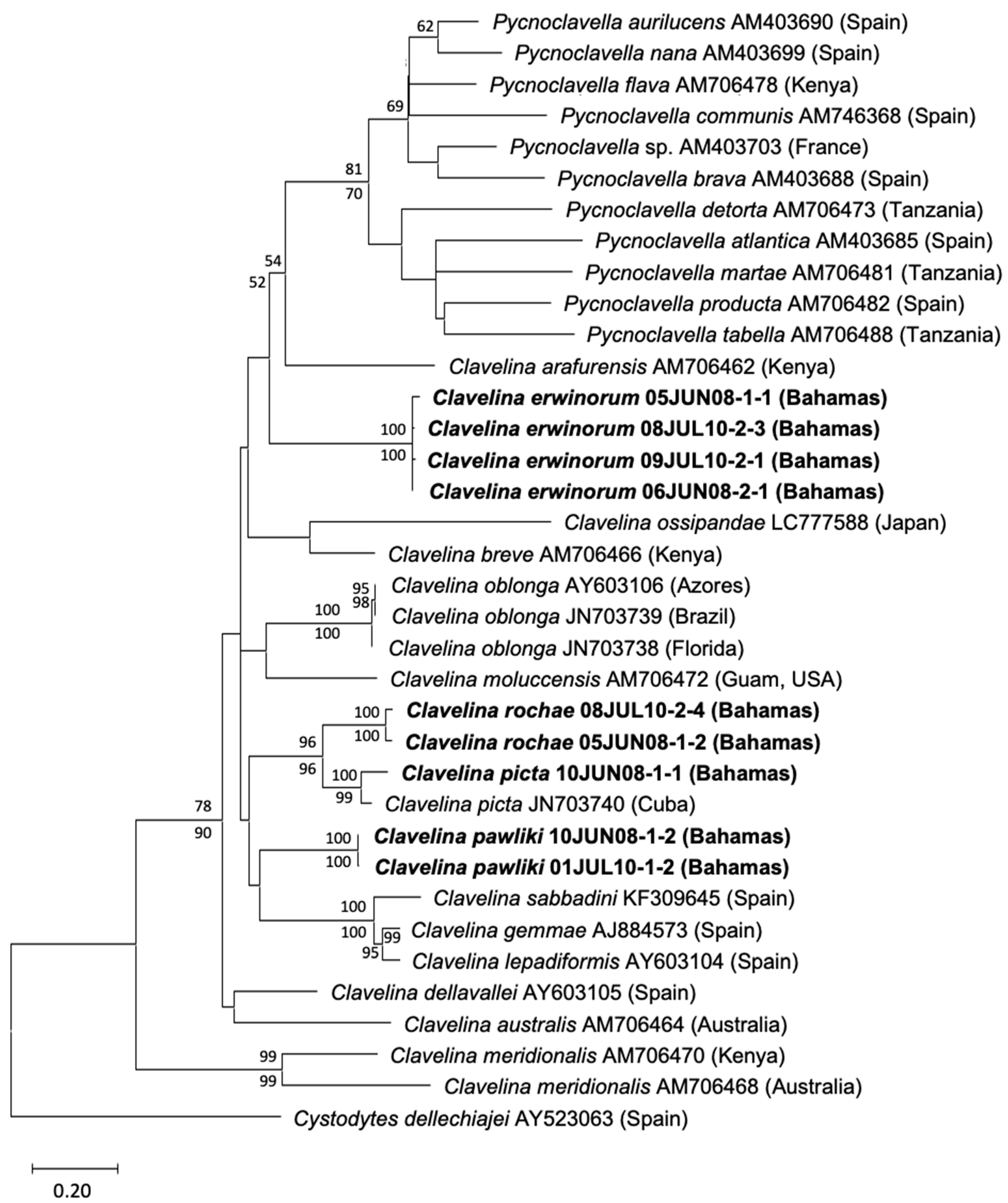 Taxonomy 04 00034 g008