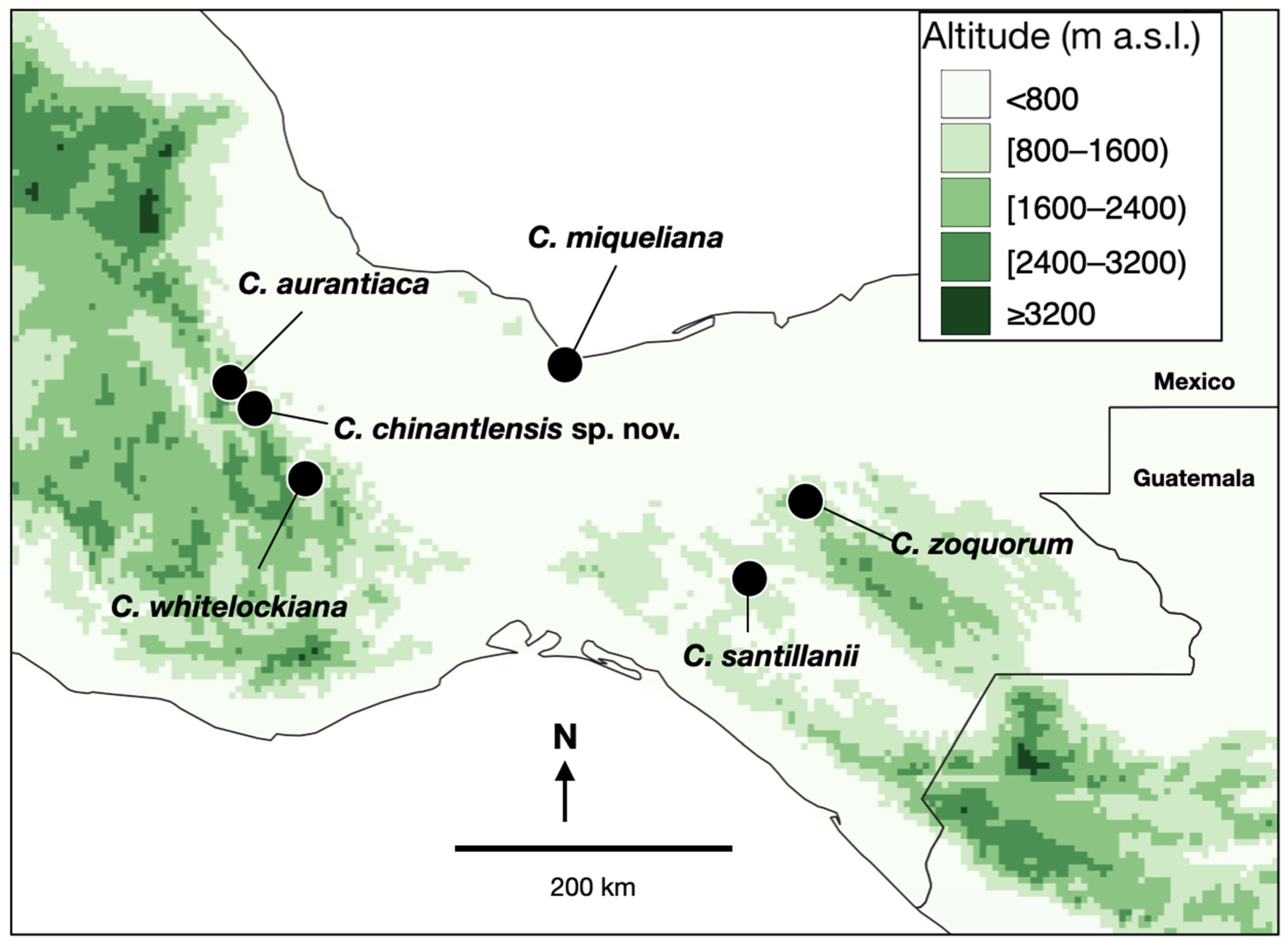 Taxonomy 04 00039 g001