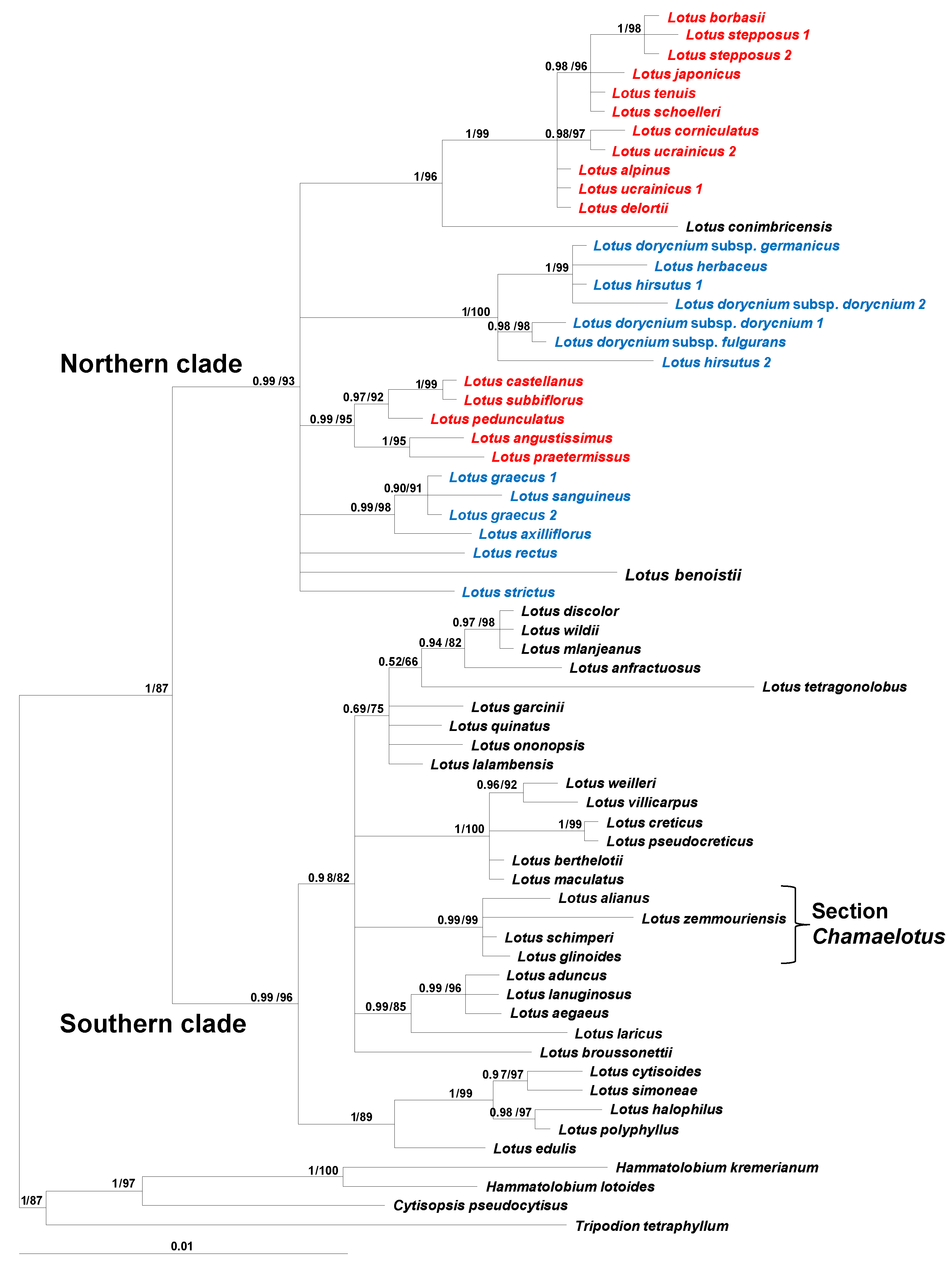 Taxonomy 05 00006 g001