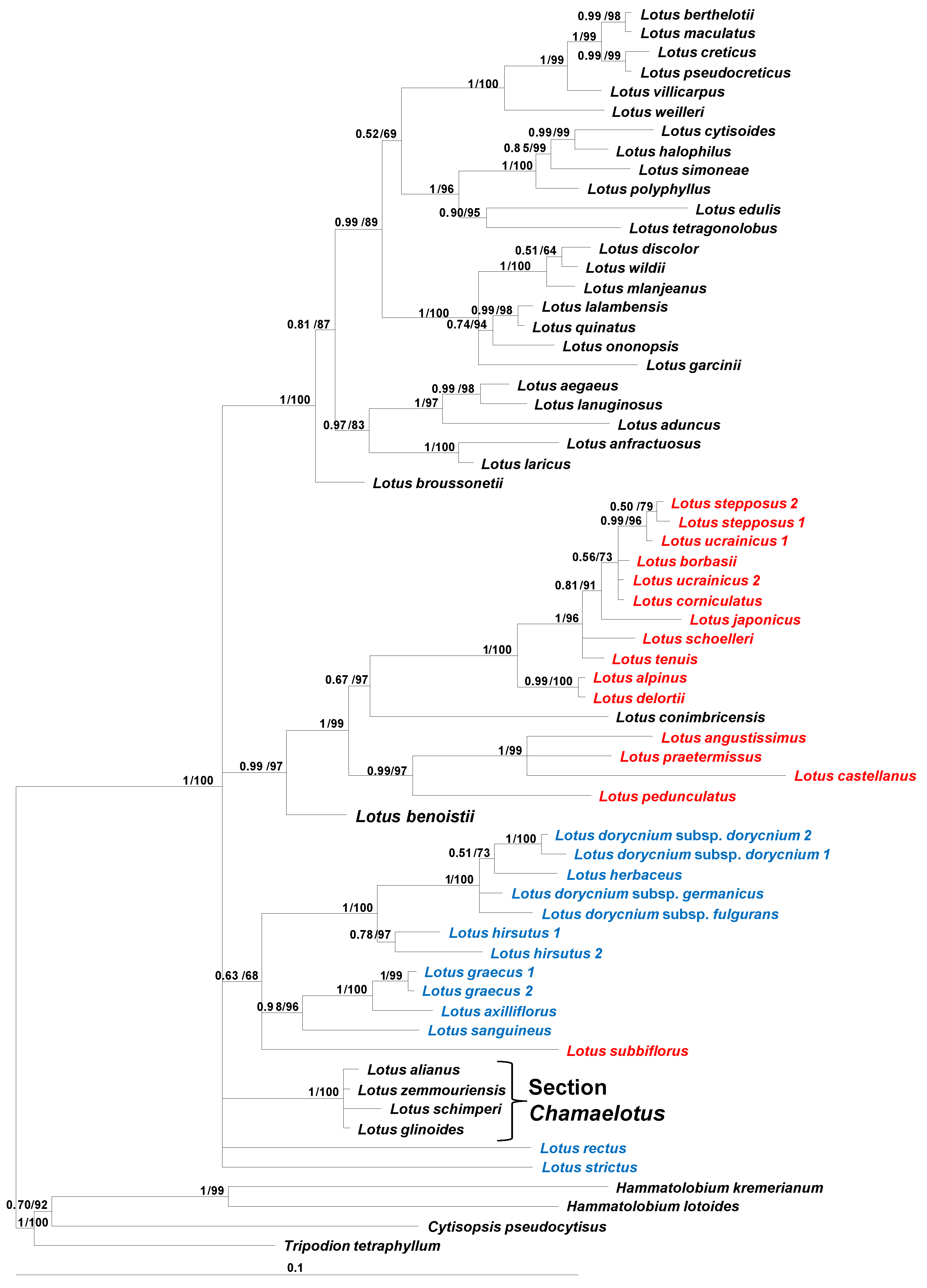 Taxonomy 05 00006 g002
