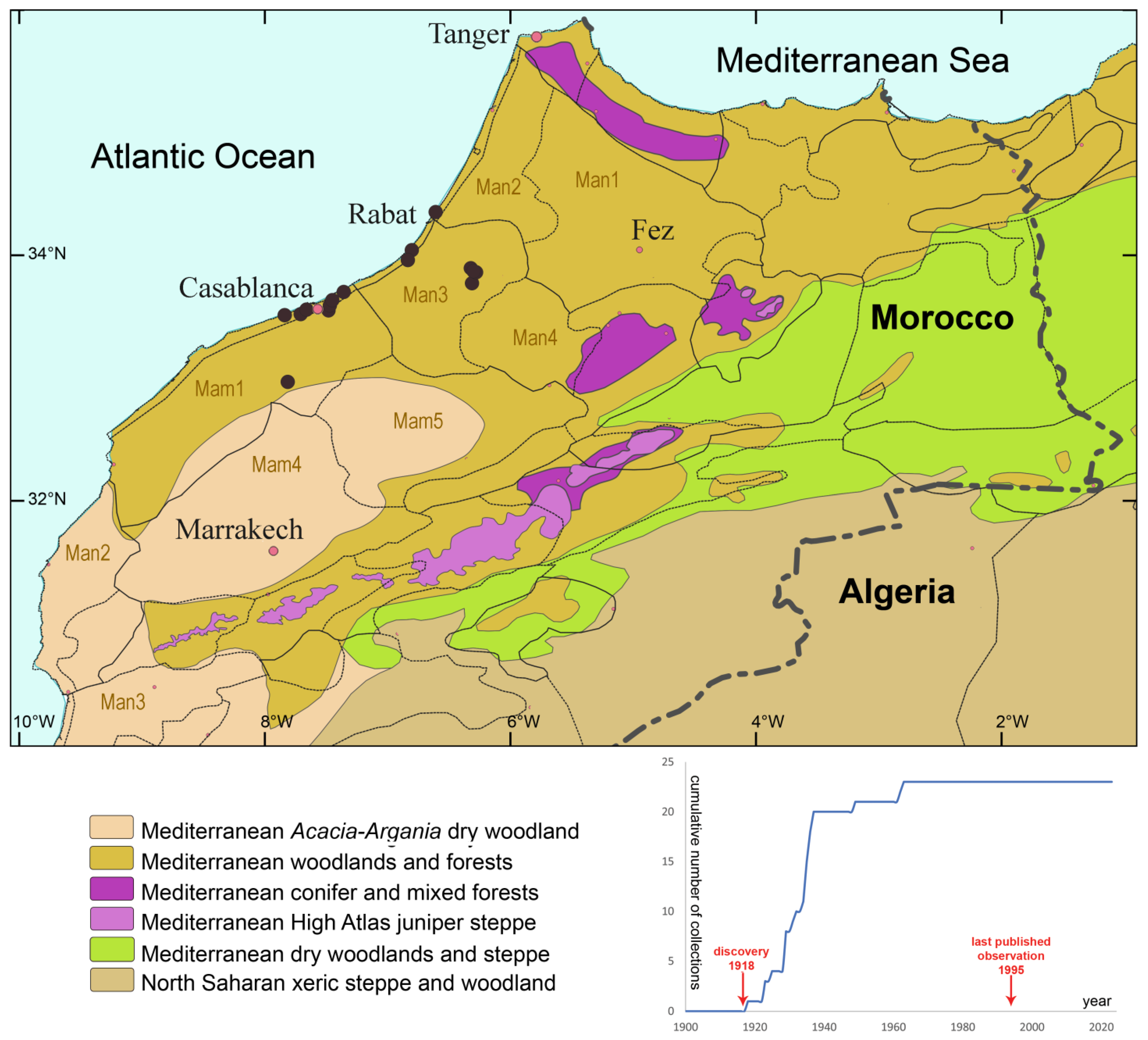 Taxonomy 05 00006 g003