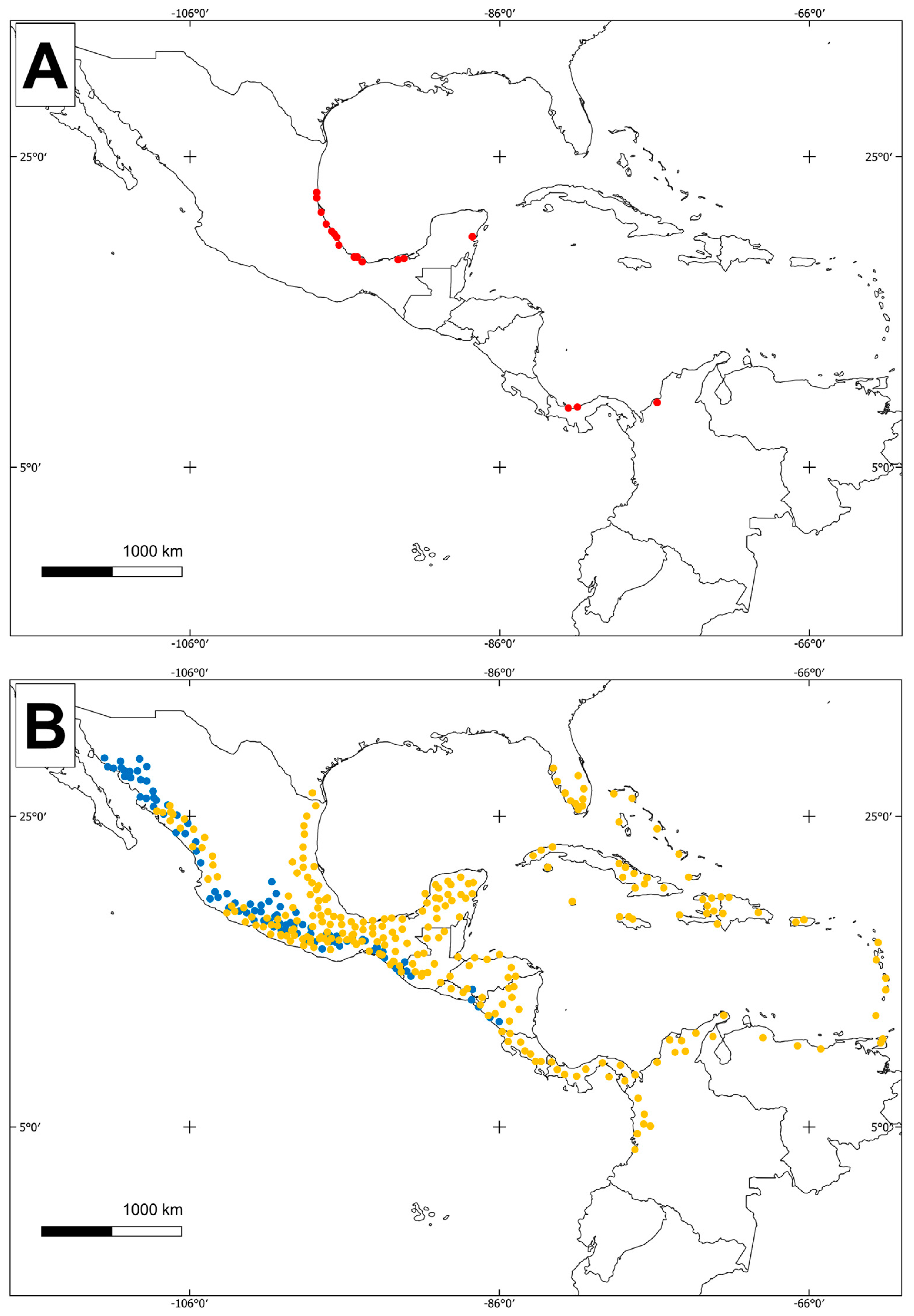 Taxonomy 05 00010 g004