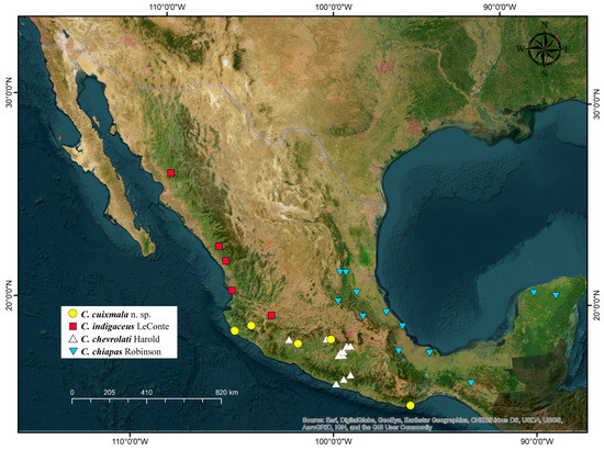 Taxonomy 05 00011 g008