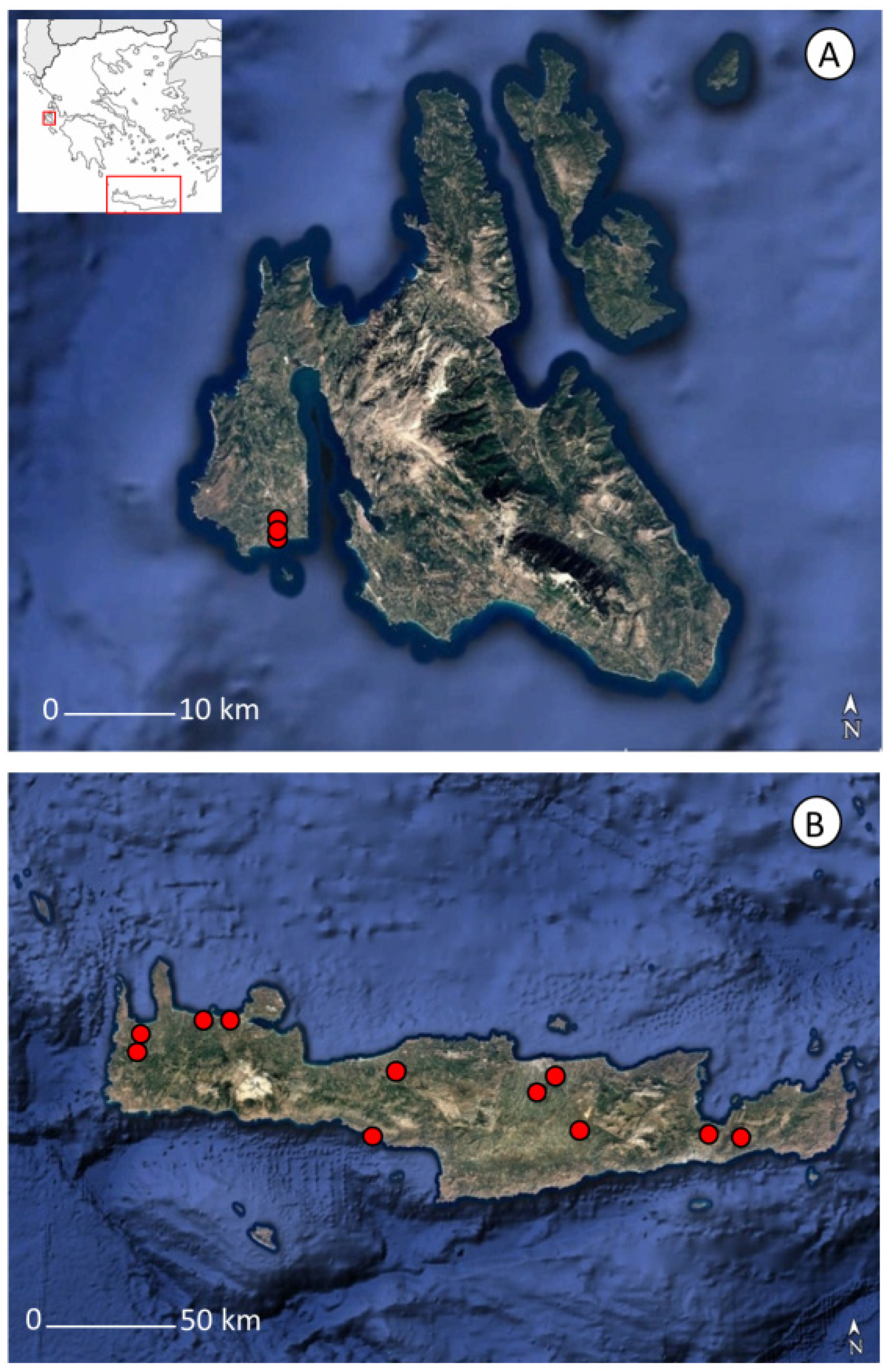 Taxonomy 05 00013 g003