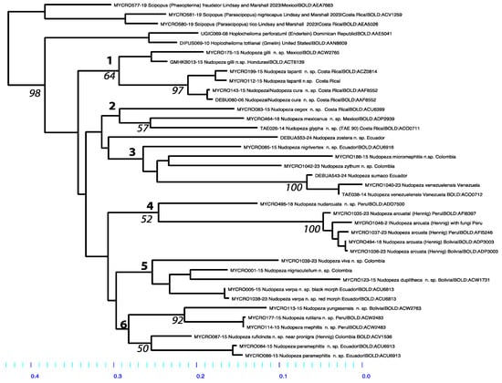 Taxonomy 05 00019 g045