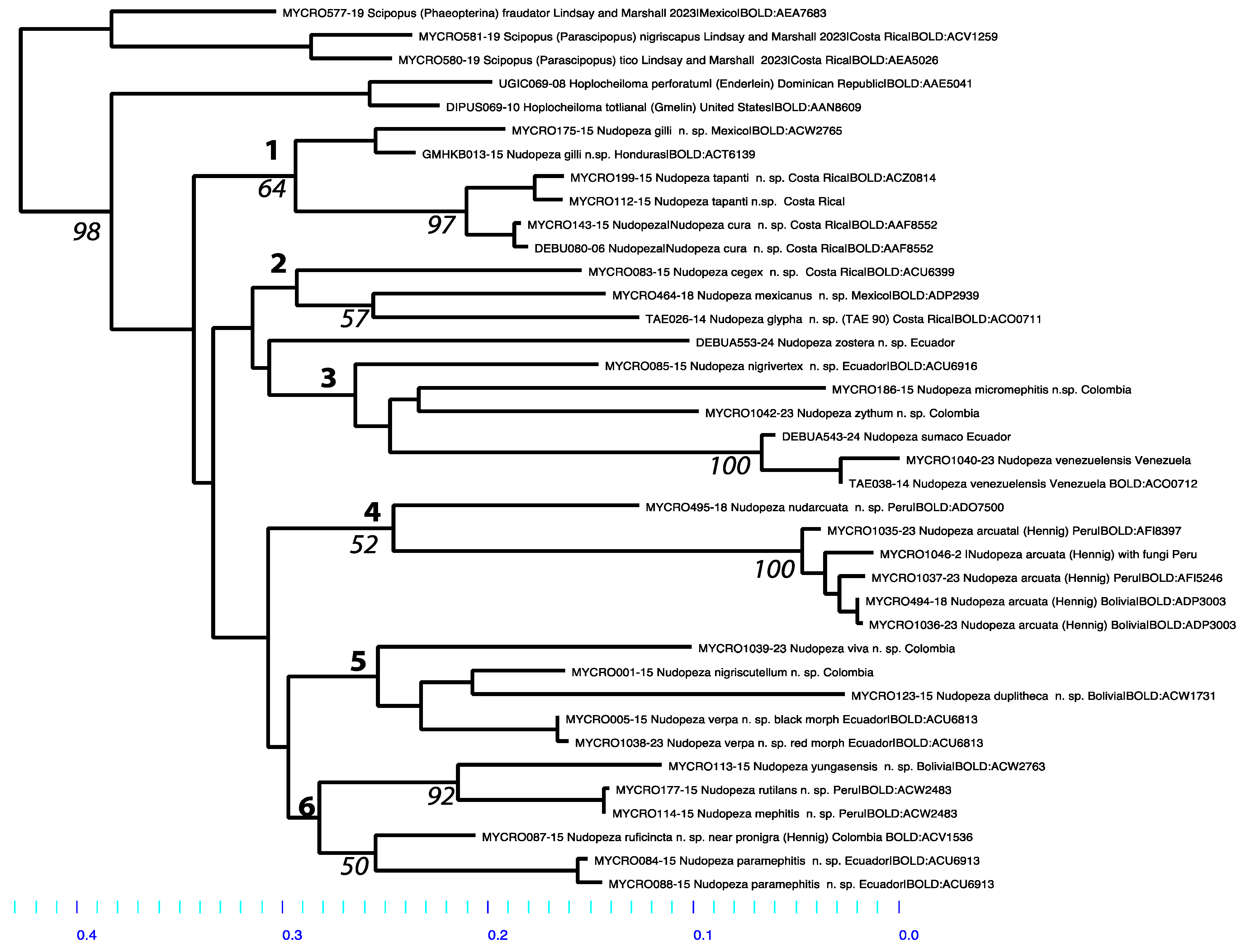 Taxonomy 05 00019 g045