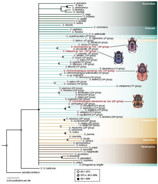 Taxonomy 05 00021 g020