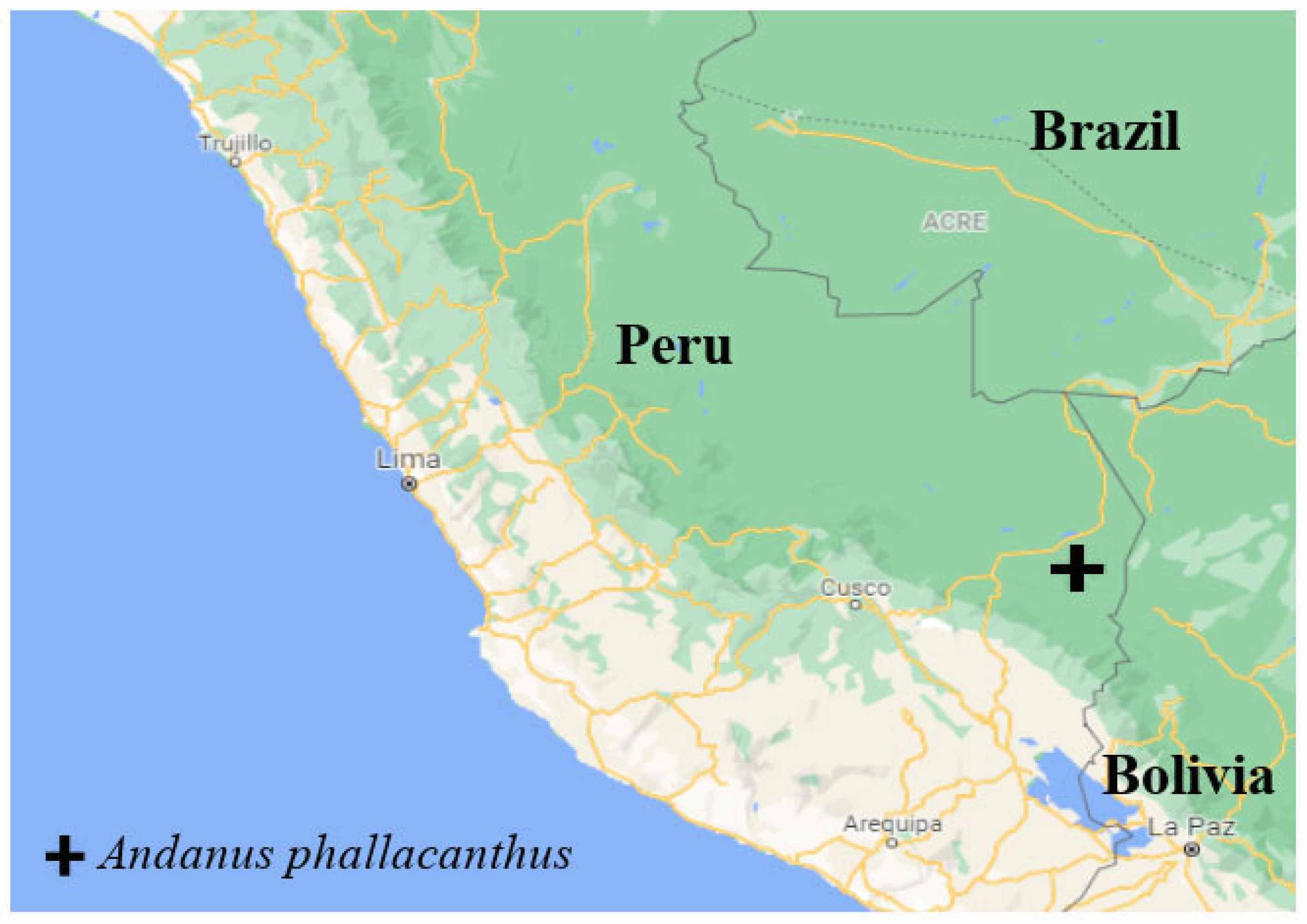 Taxonomy 05 00025 g005