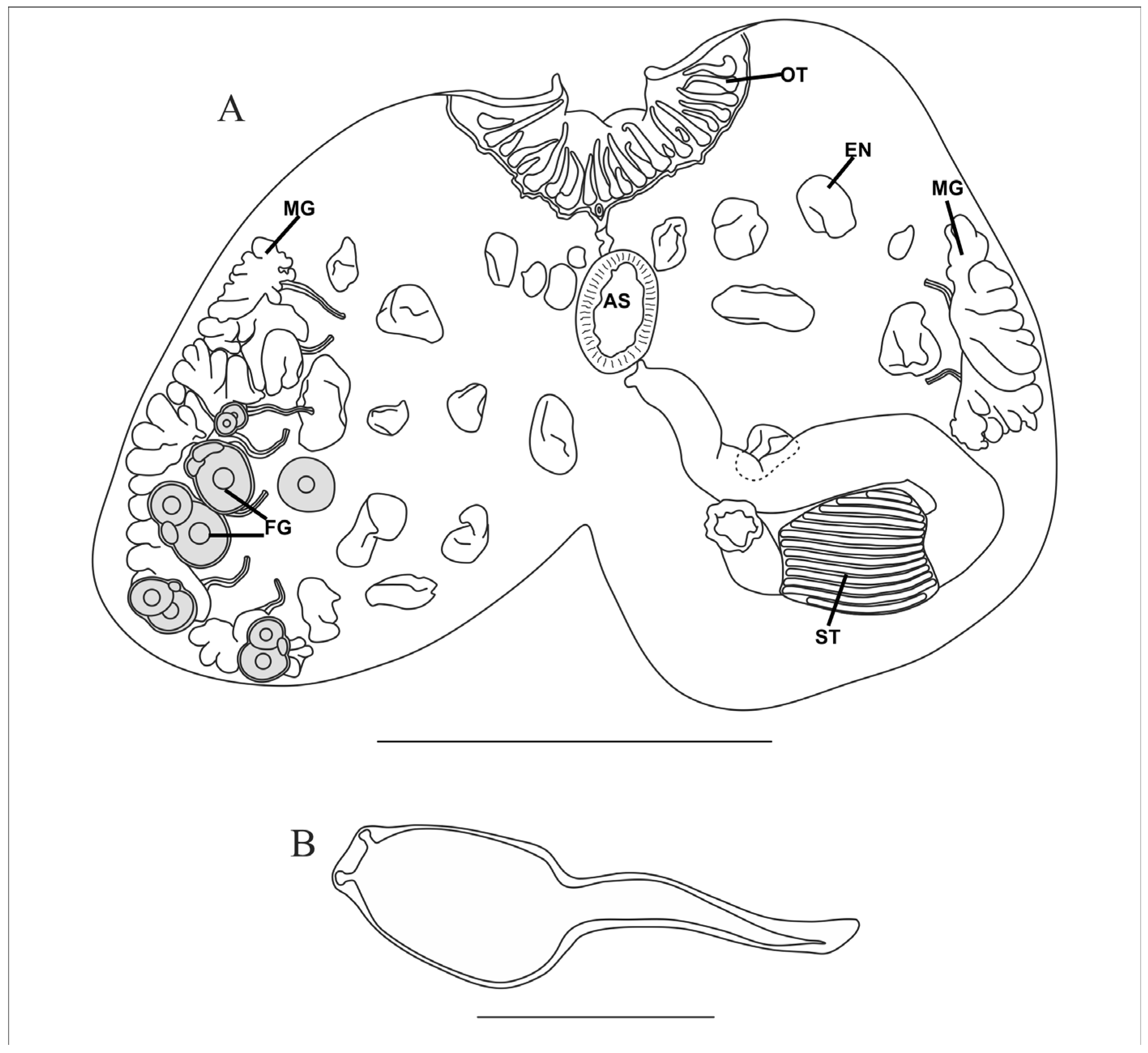 Taxonomy 05 00027 g002