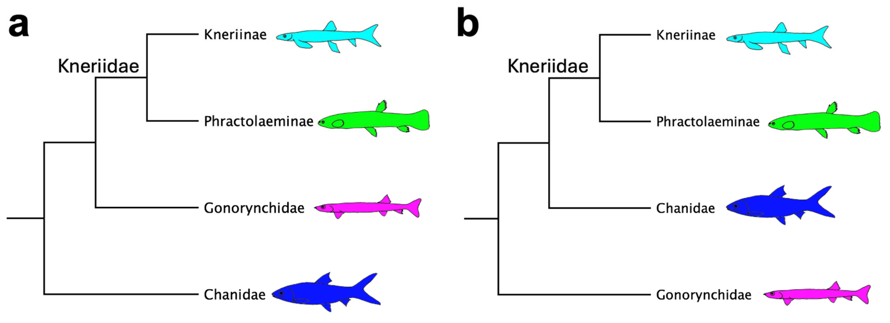 Taxonomy 05 00033 g003 Taxonomy 05 00033 g003