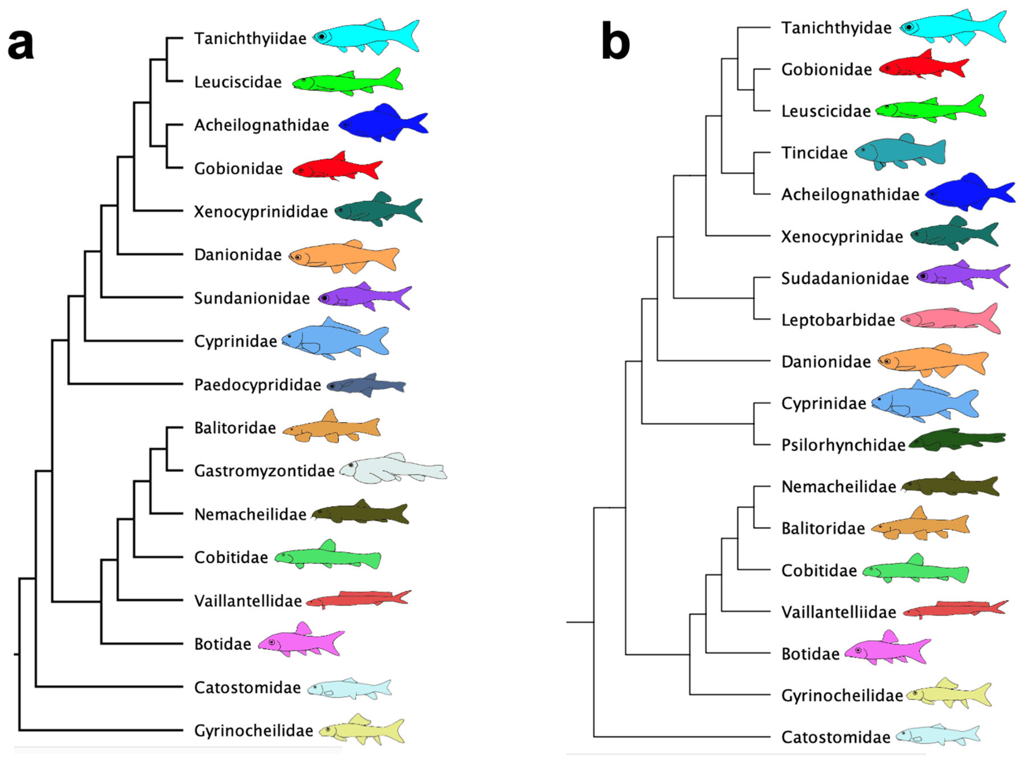 Taxonomy 05 00033 g005 Taxonomy 05 00033 g005