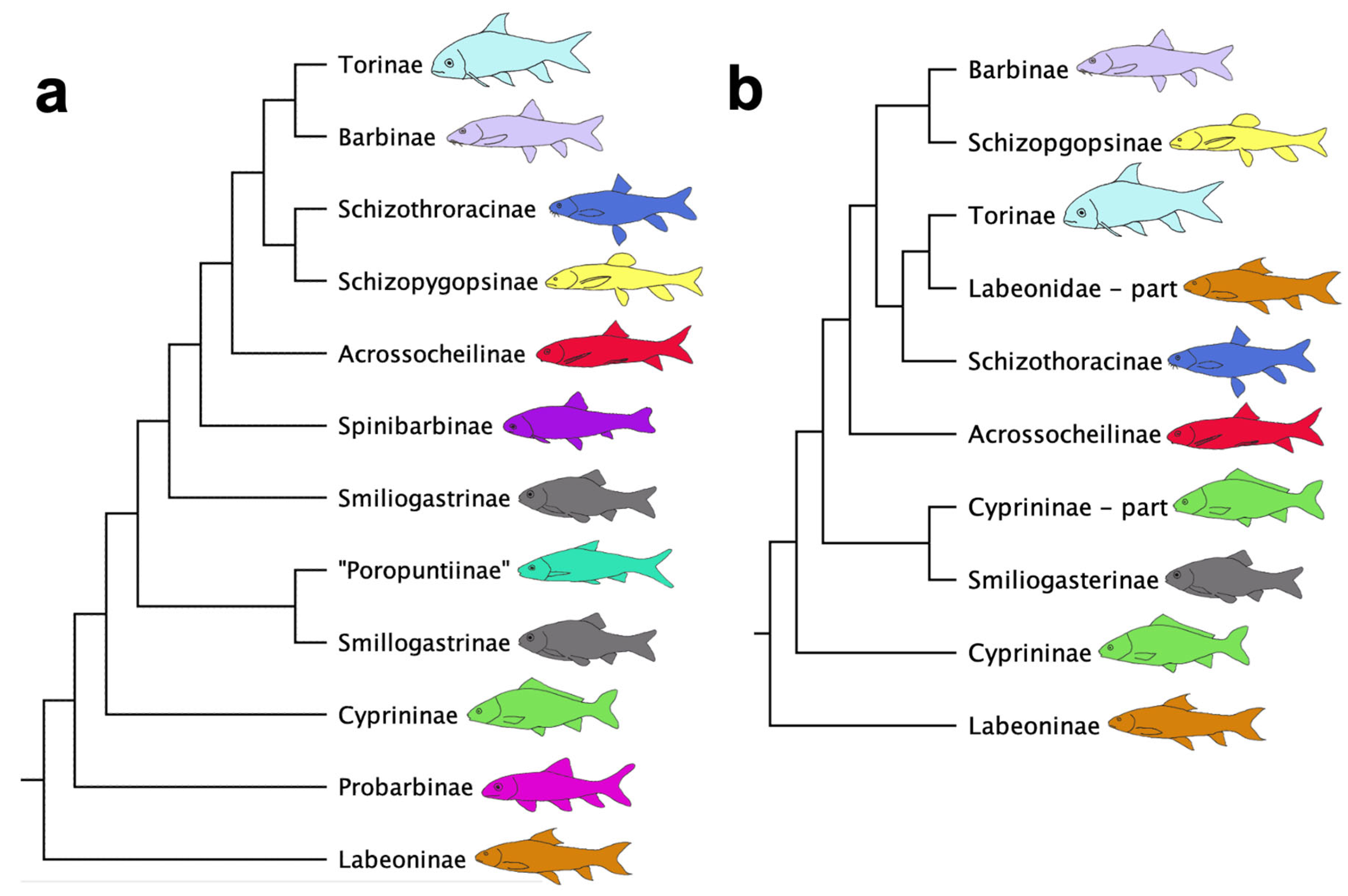 Taxonomy 05 00033 g006 Taxonomy 05 00033 g006