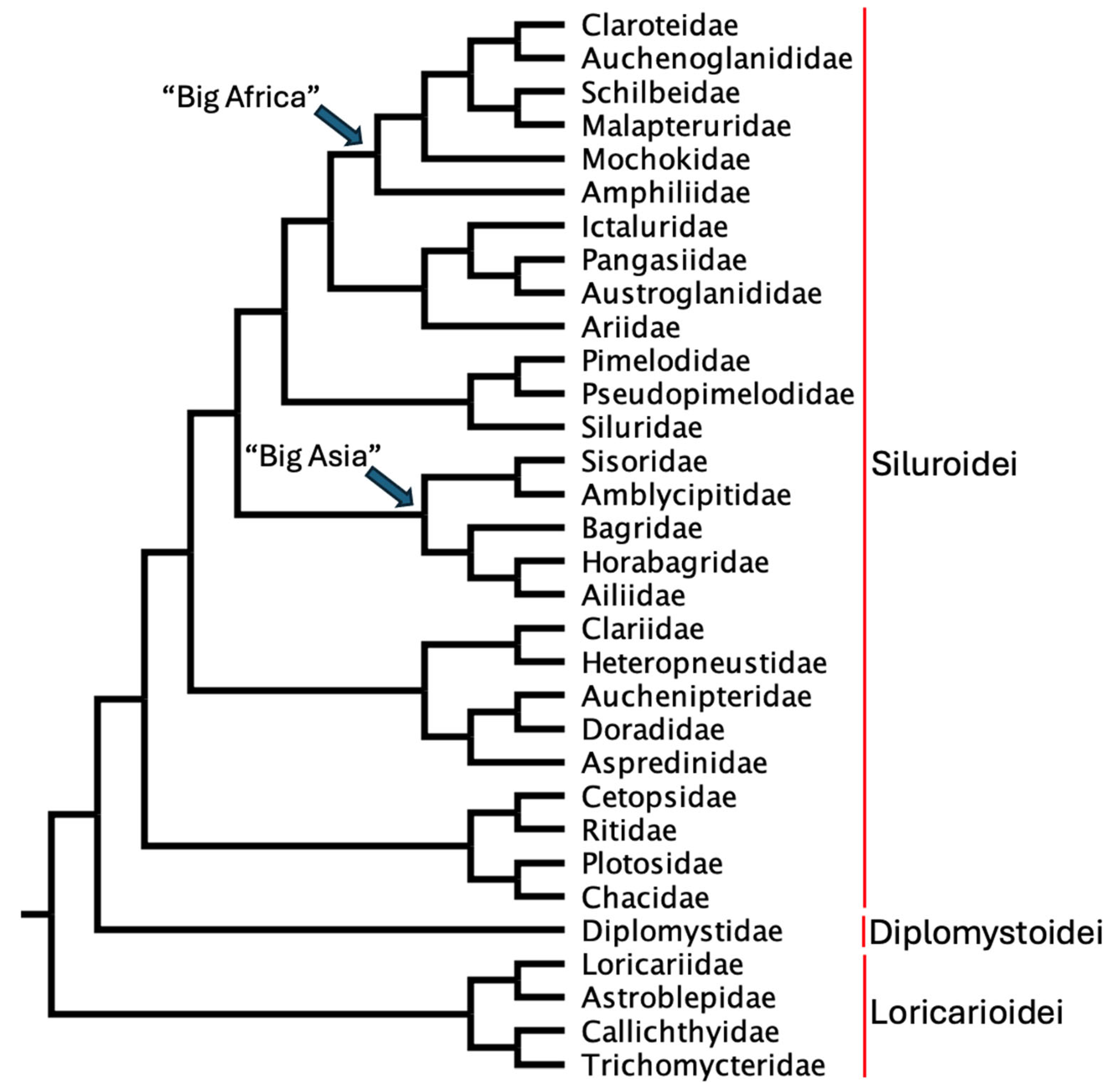 Taxonomy 05 00033 g012 Taxonomy 05 00033 g012