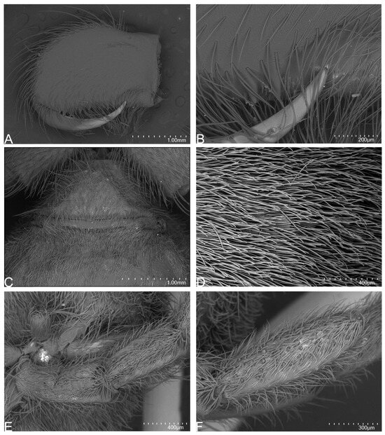 Taxonomy 05 00035 g061