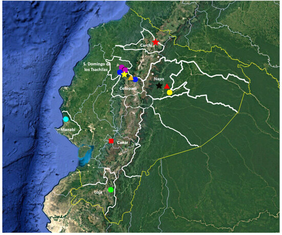 Taxonomy 05 00035 g063