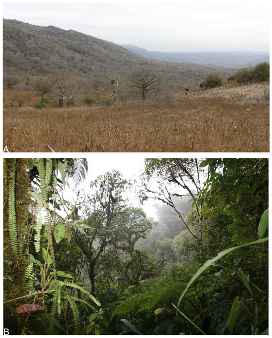 Taxonomy 05 00035 g065