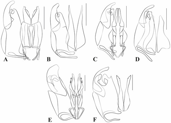 Taxonomy 05 00039 g009