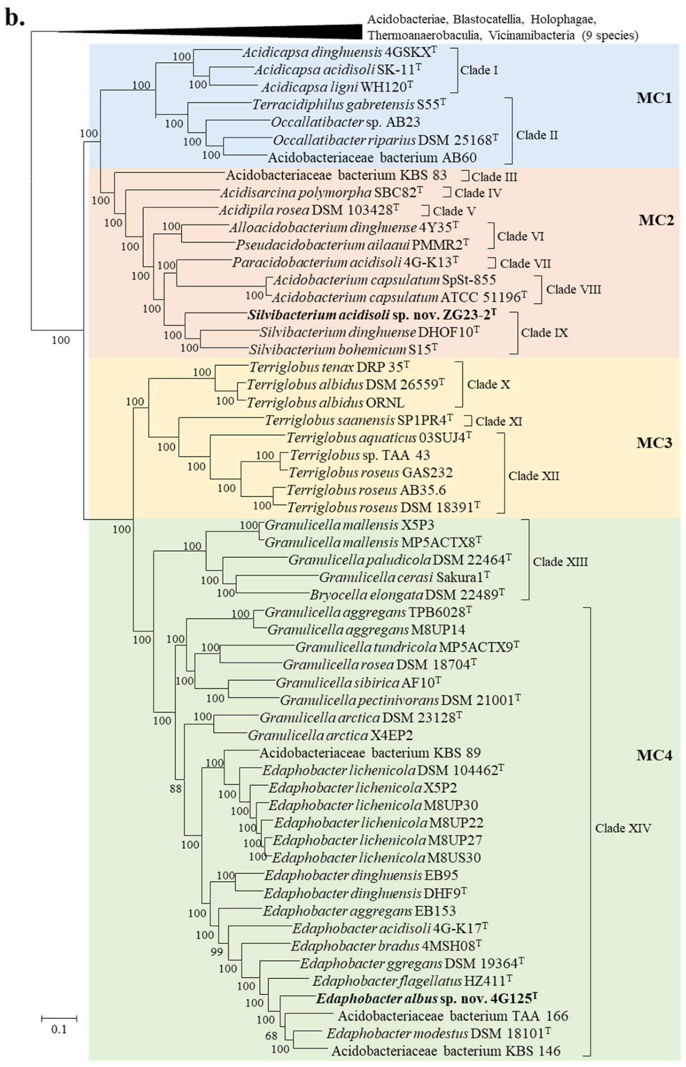 Taxonomy 05 00040 g002b