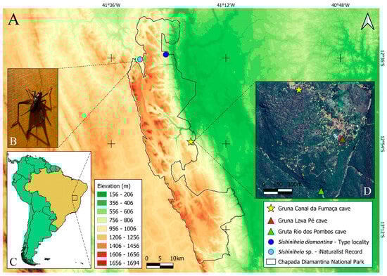 Taxonomy 05 00055 g001