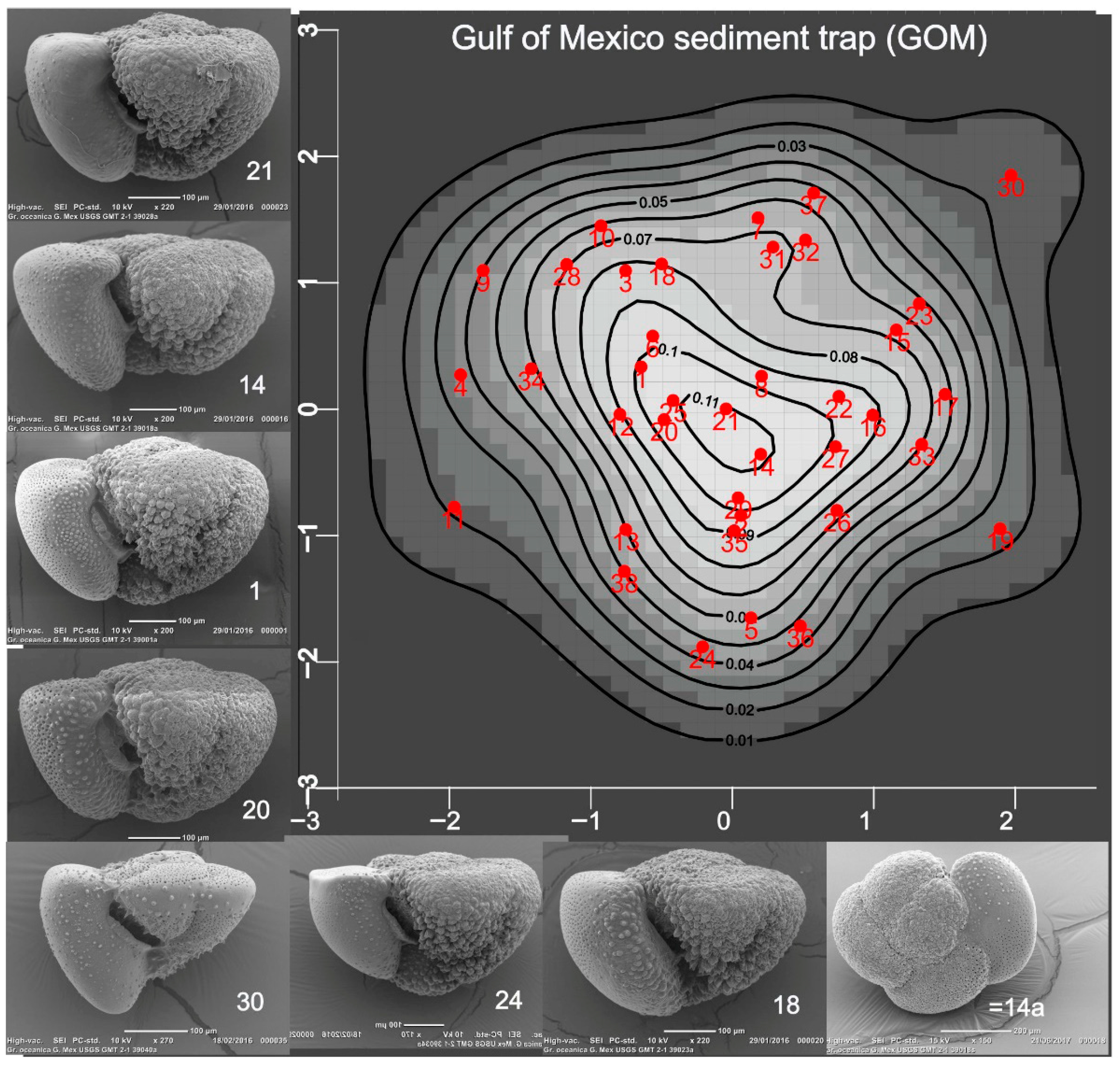 Taxonomy 05 00062 g002