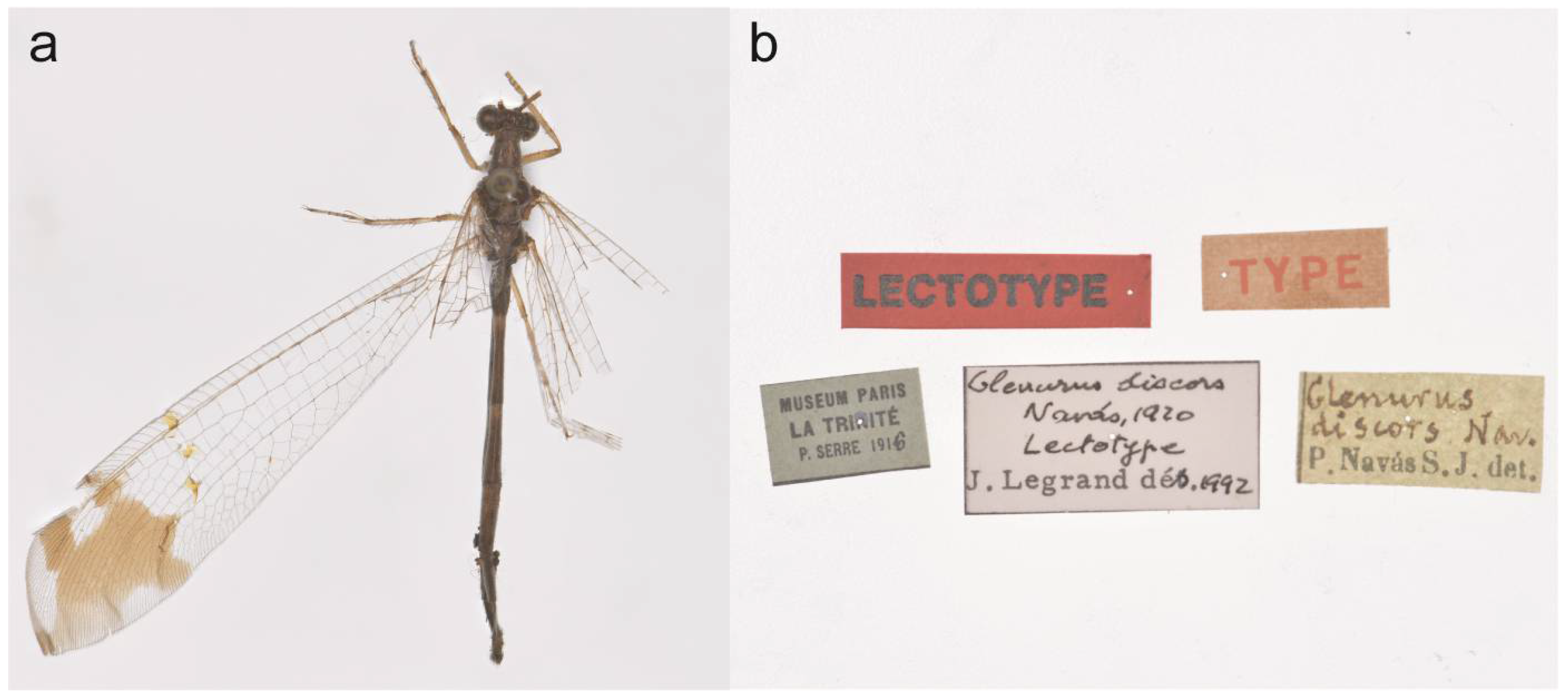 Taxonomy 05 00068 g006