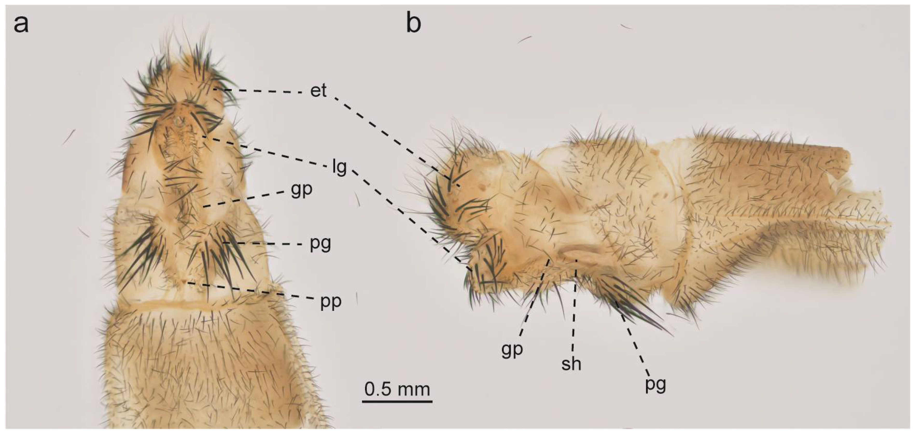 Taxonomy 05 00068 g009