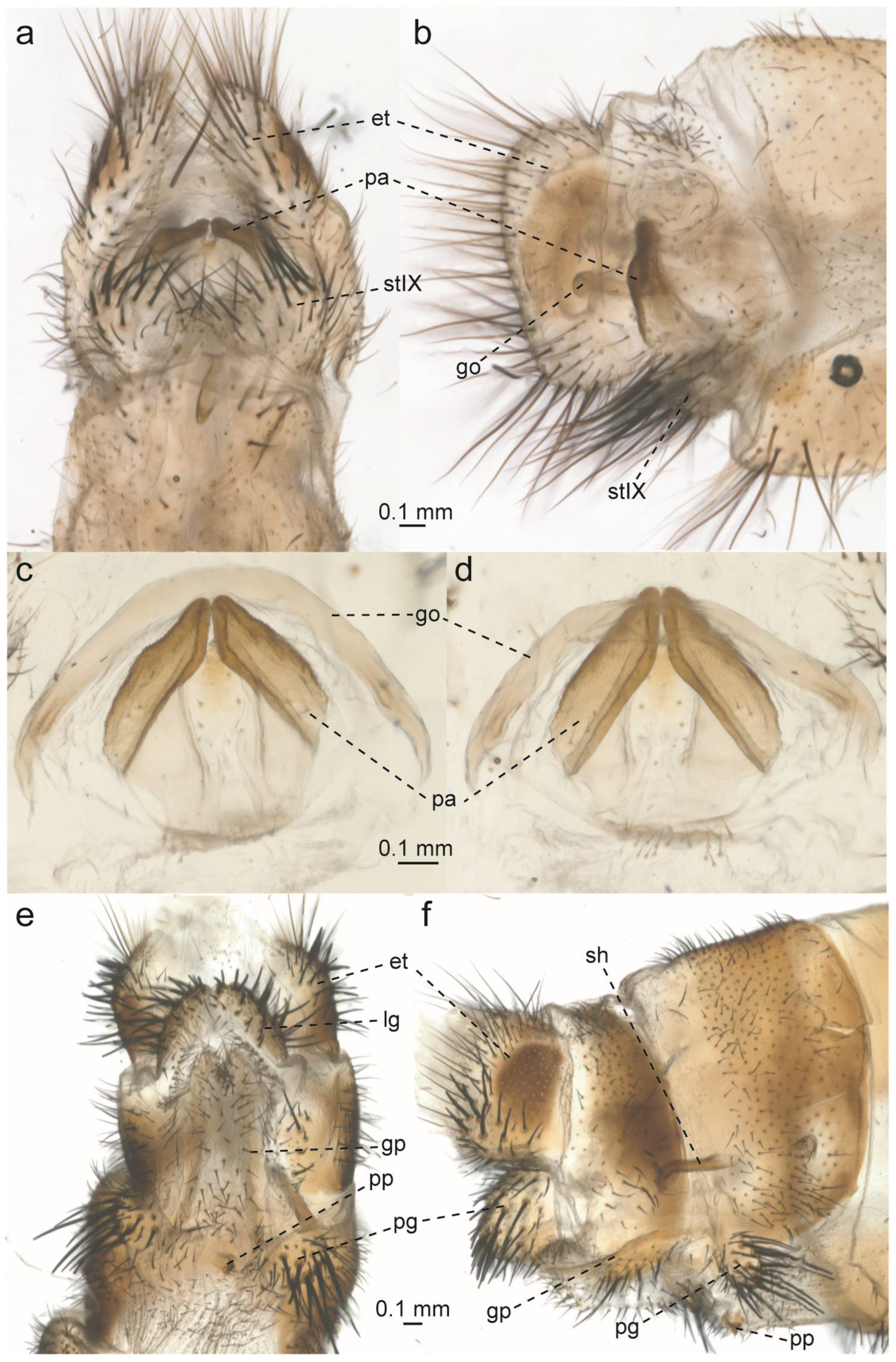 Taxonomy 05 00068 g014