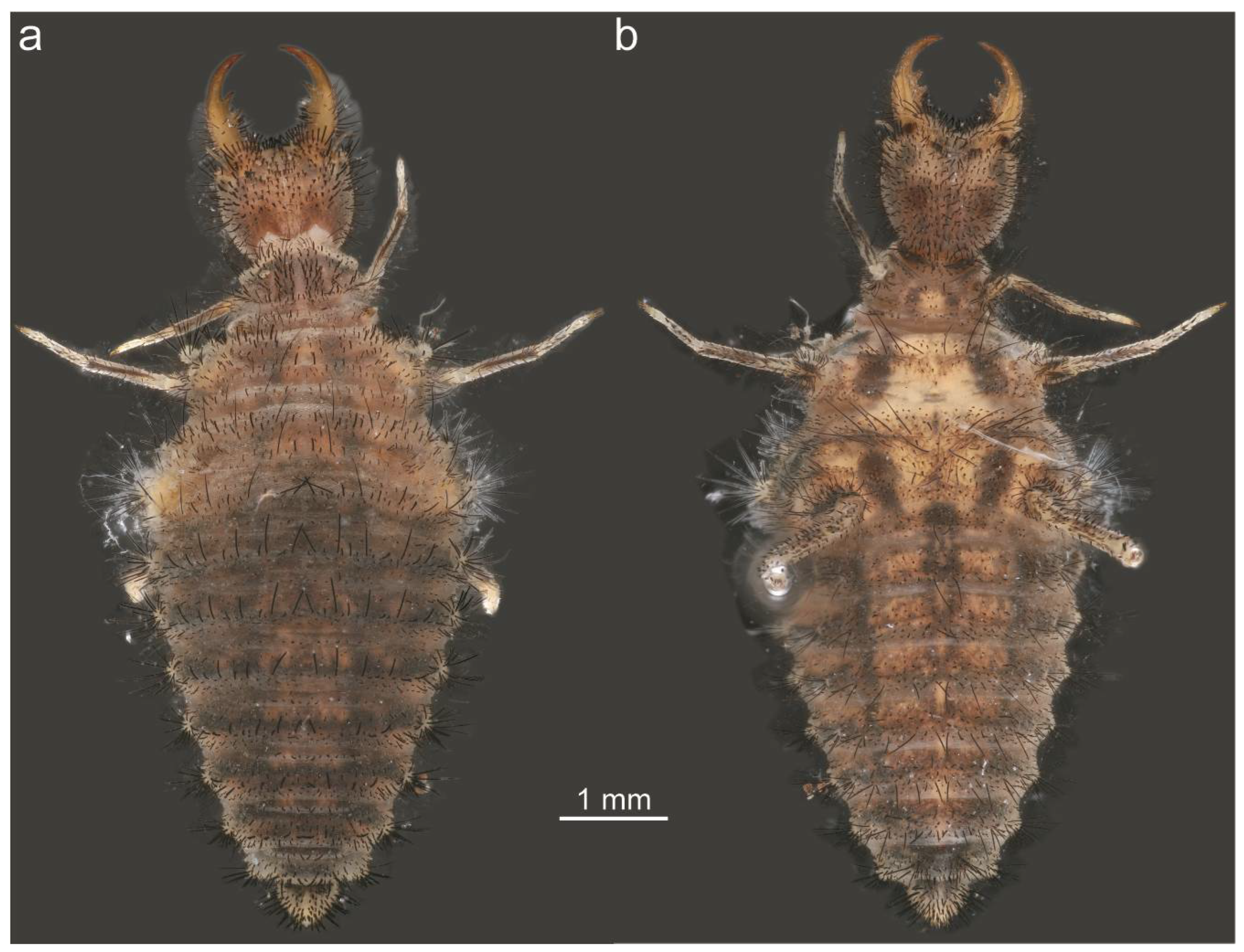 Taxonomy 05 00068 g015