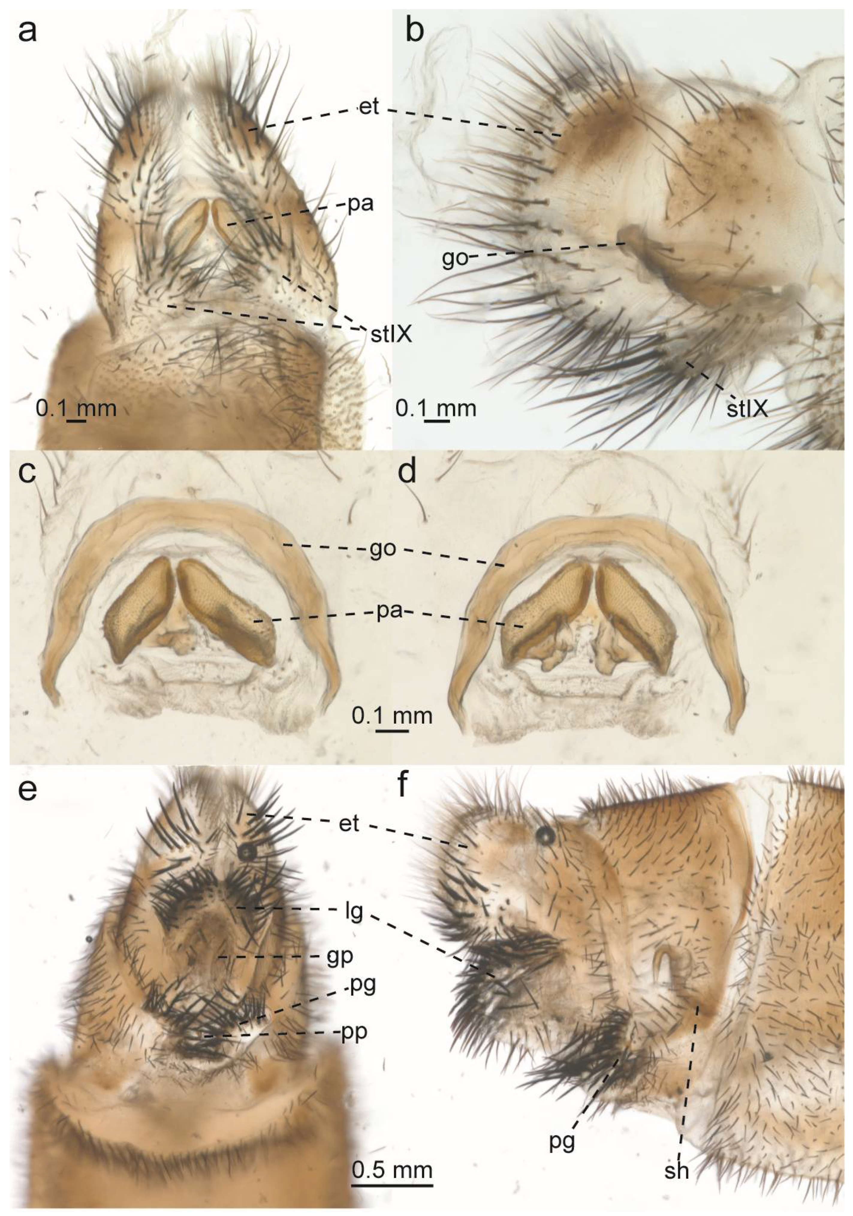 Taxonomy 05 00068 g021