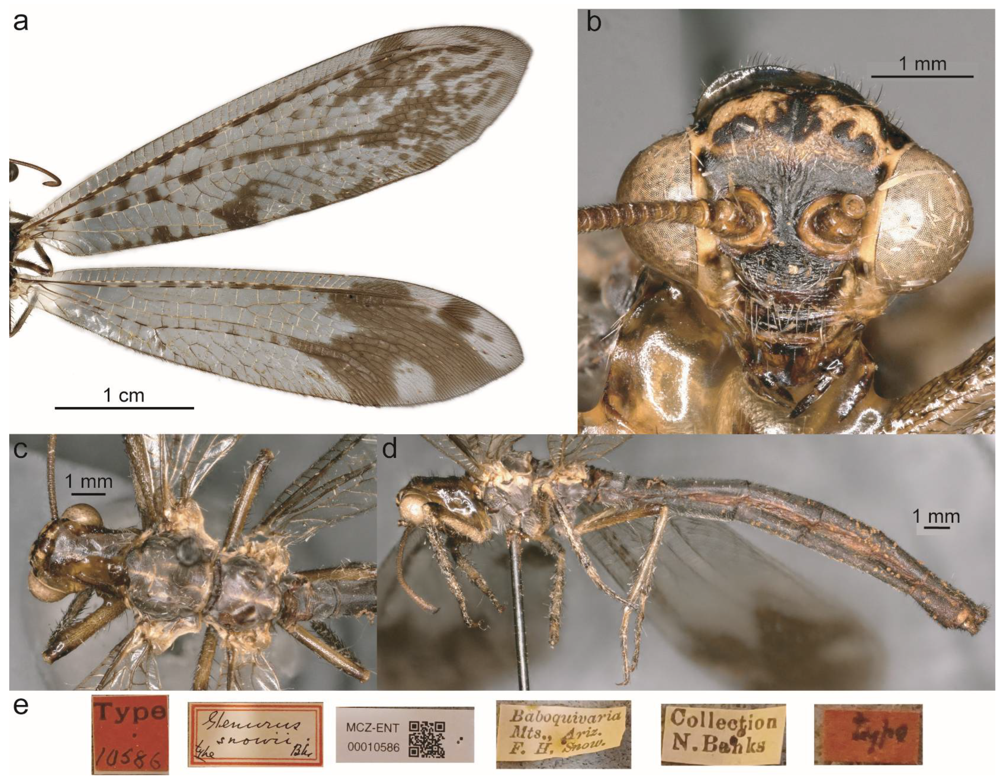 Taxonomy 05 00068 g023