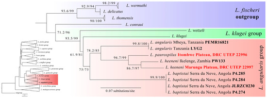 Taxonomy 06 00009 g003