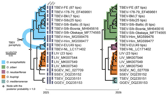 Taxonomy 06 00052 g001