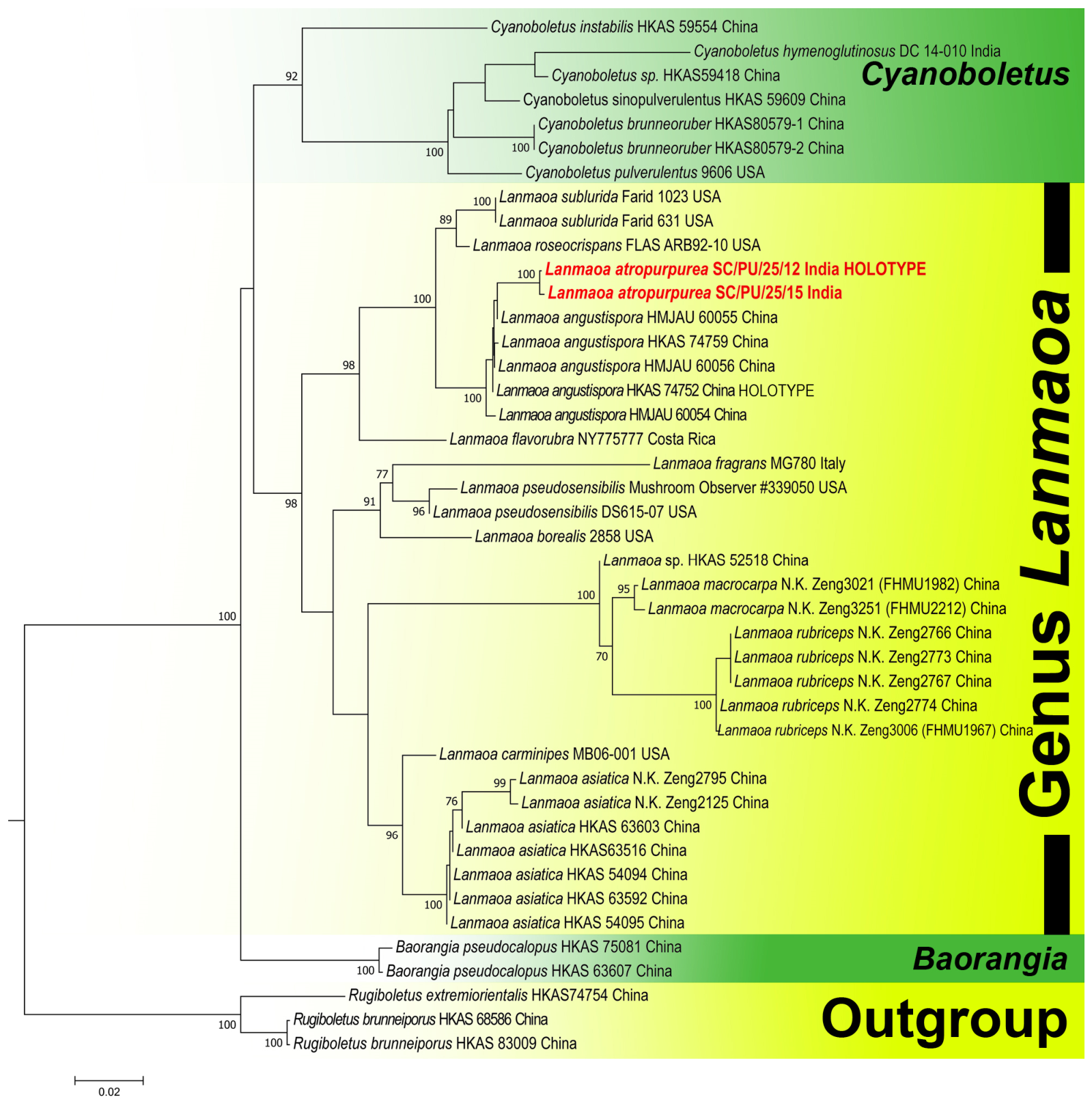 Taxonomy 06 00064 g001 Taxonomy 06 00064 g001