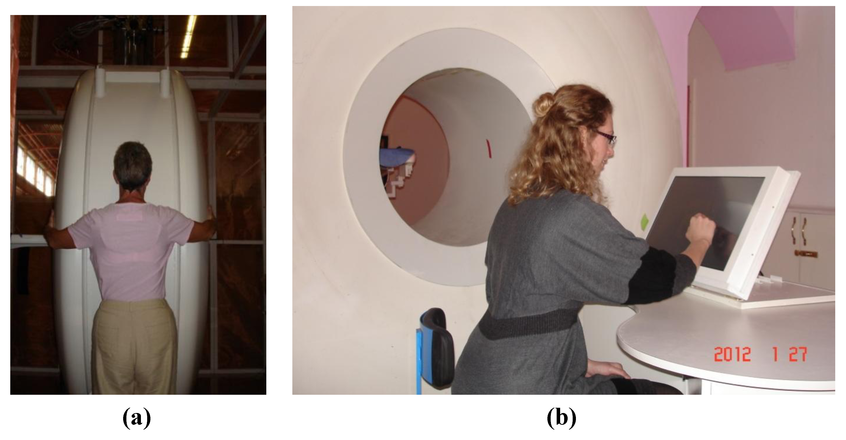 Technologies 01 00044 g003