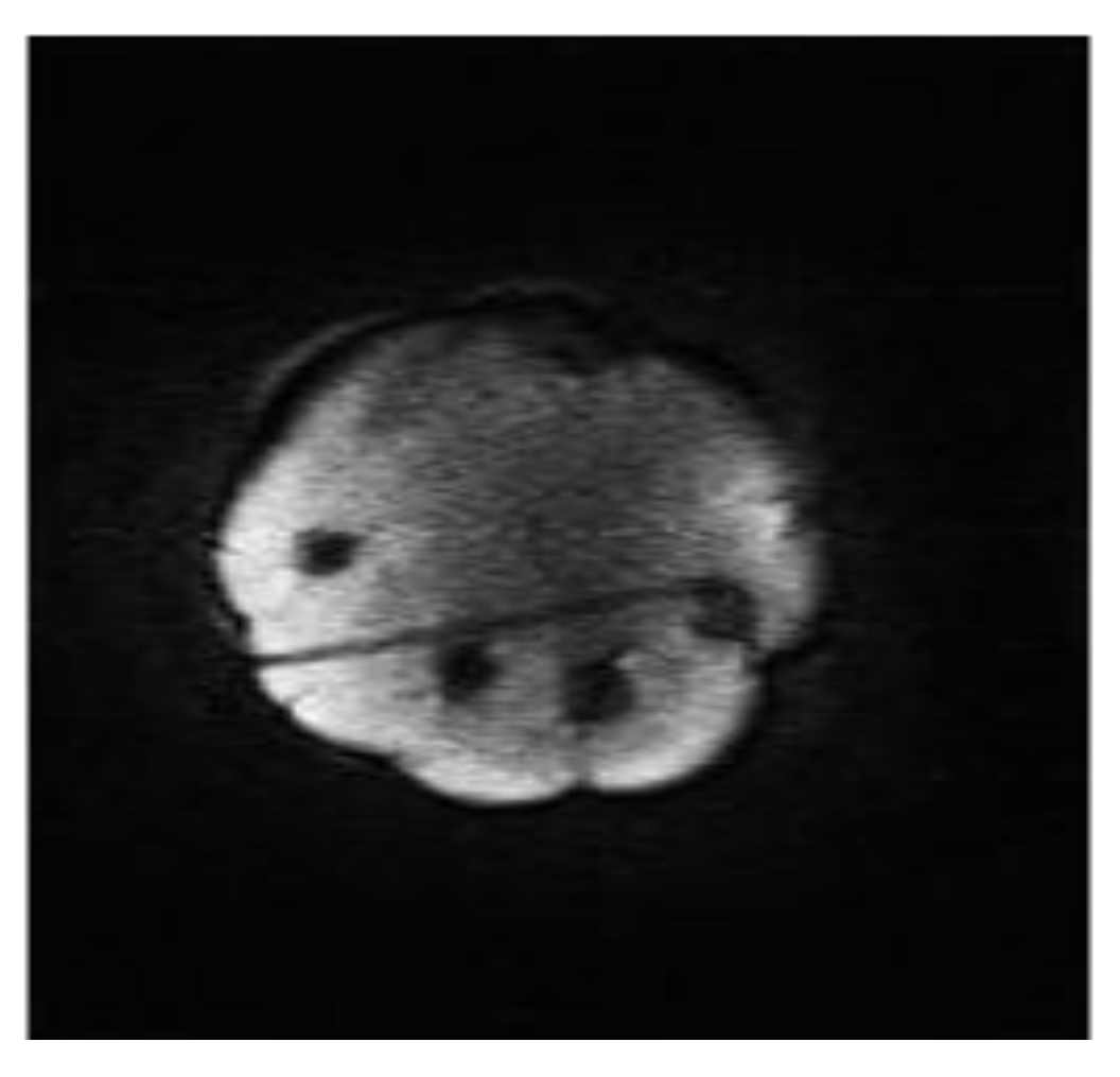 Technologies 01 00044 g005