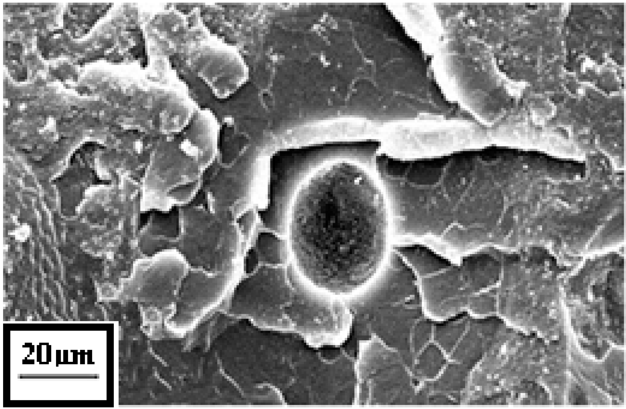 Technologies 03 00094 g006