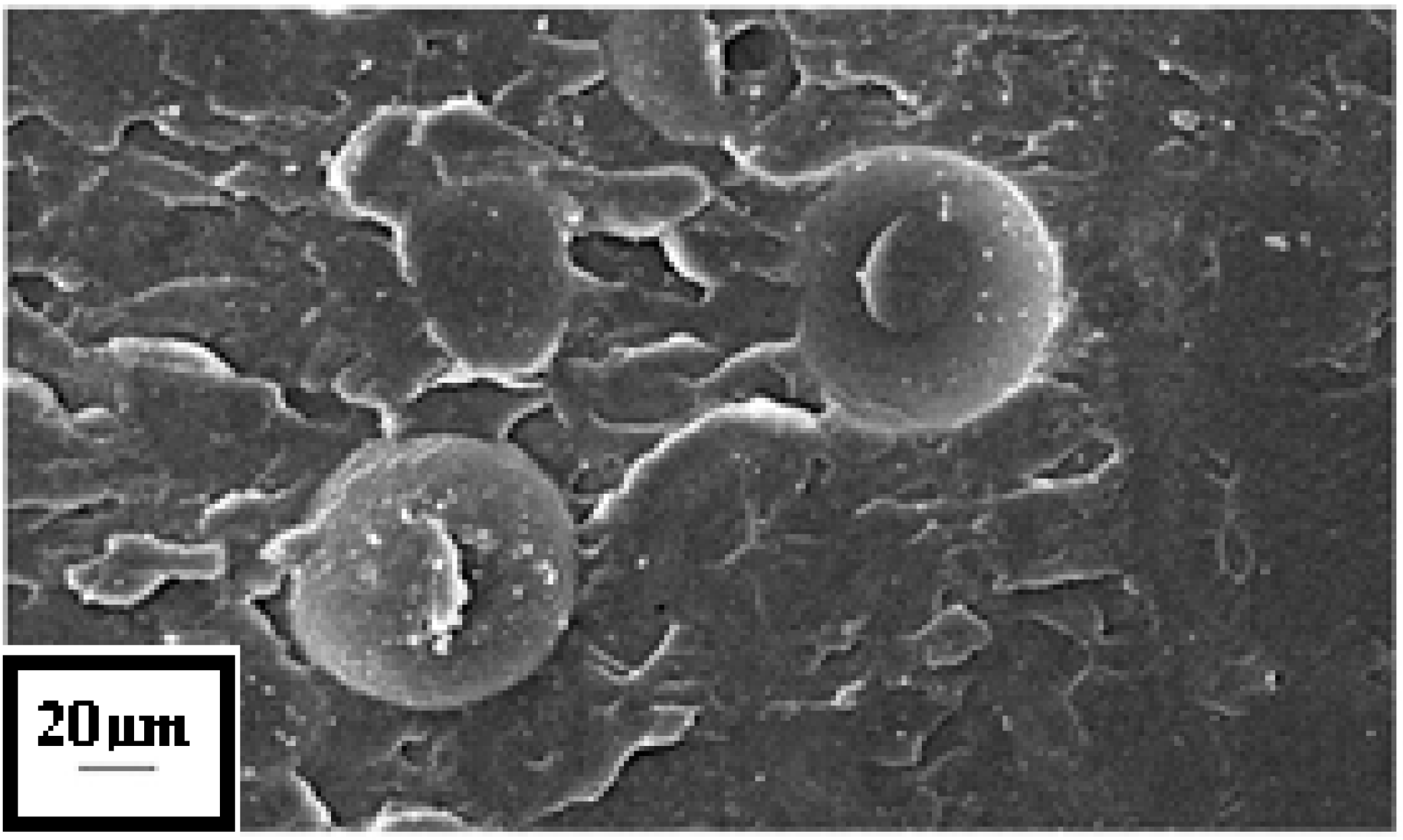 Technologies 03 00094 g007