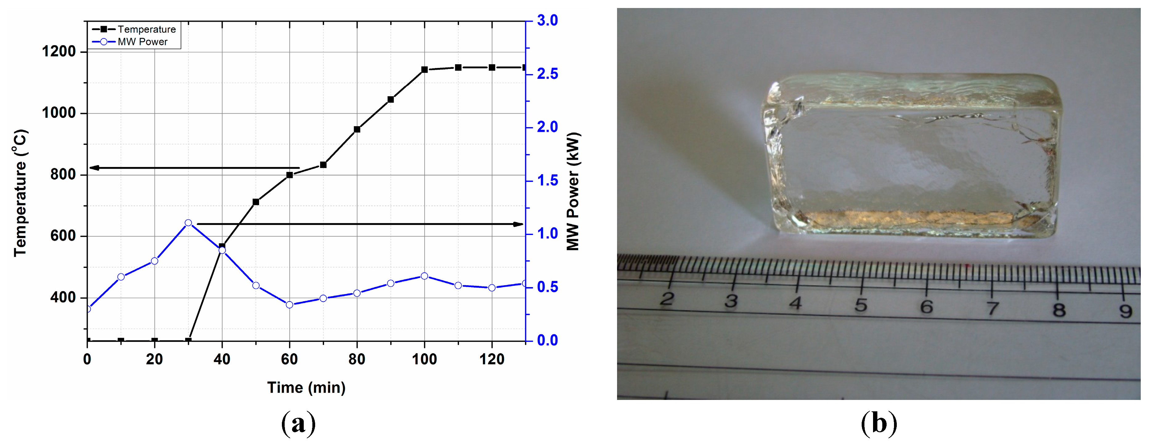 Technologies 03 00111 g010
