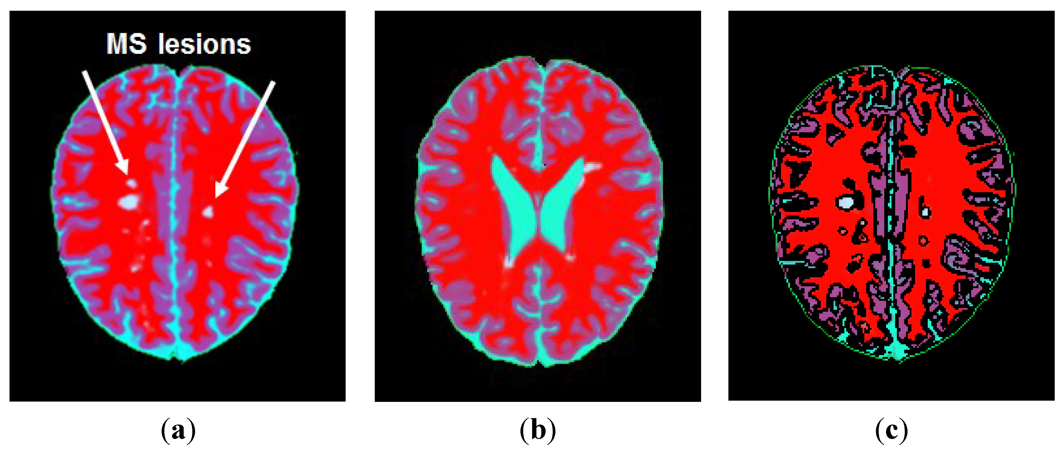 Technologies 03 00142 g003