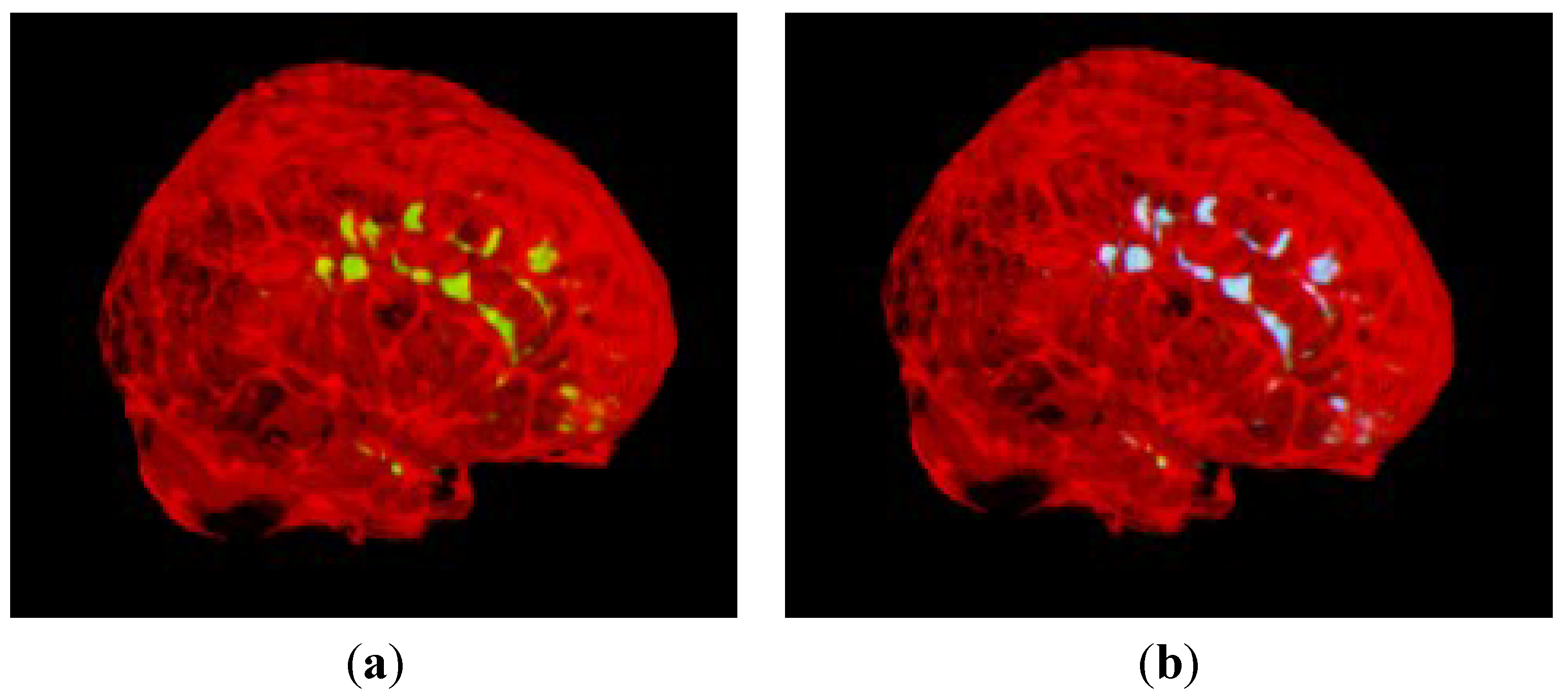 Technologies 03 00142 g017