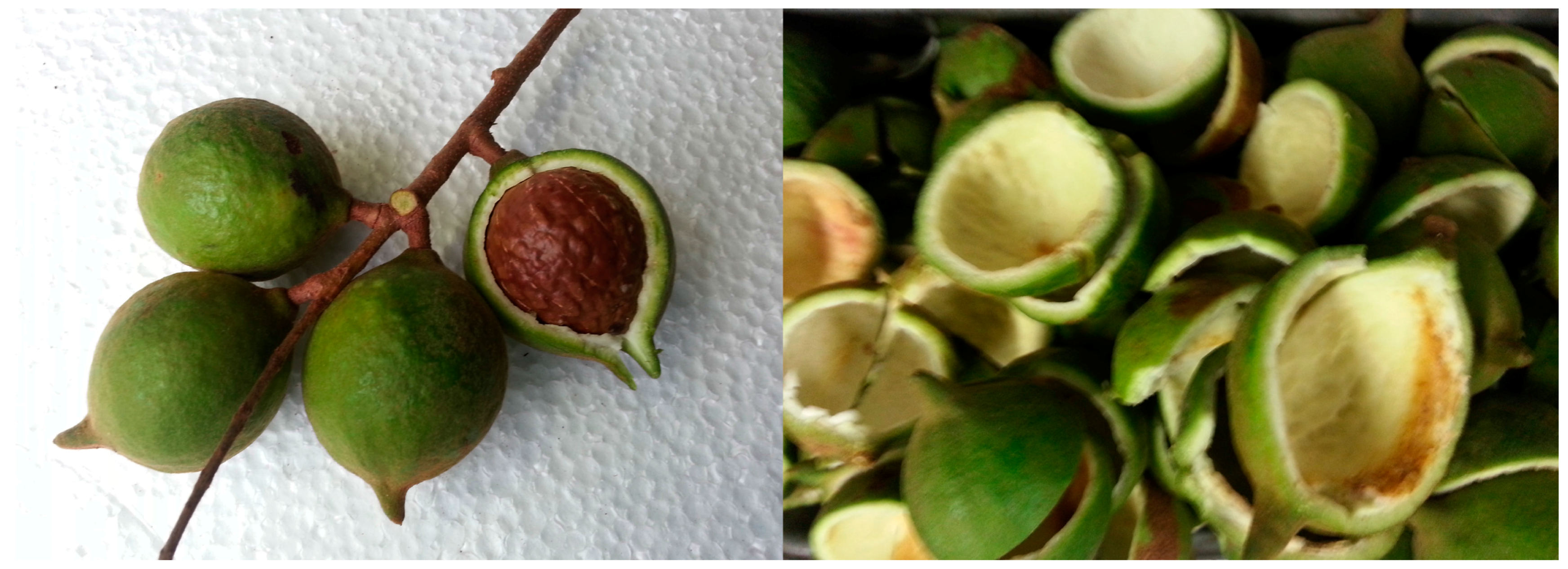 Technologies 03 00302 g001