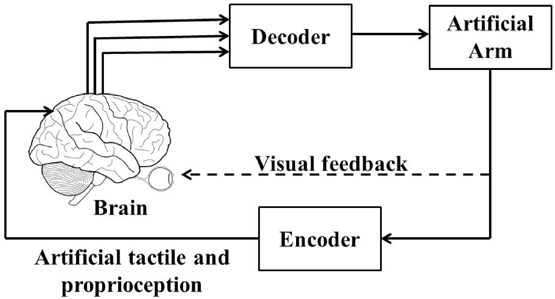 Technologies 04 00018 g001