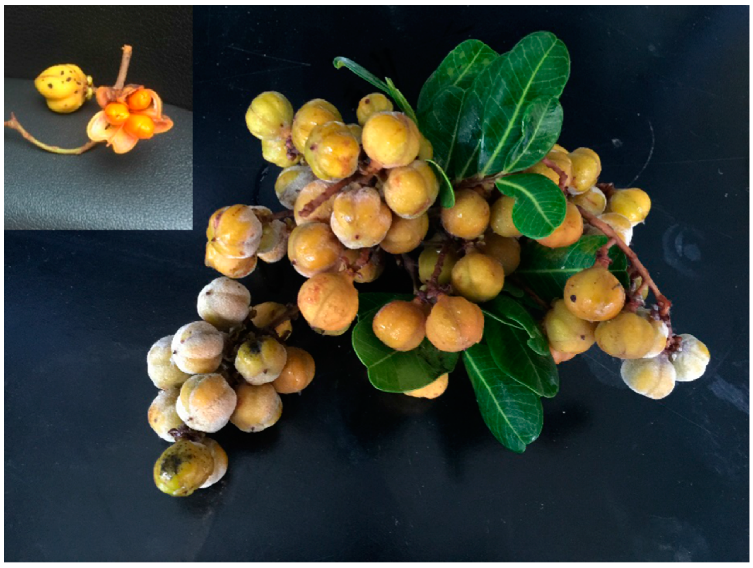 Technologies 05 00057 g001