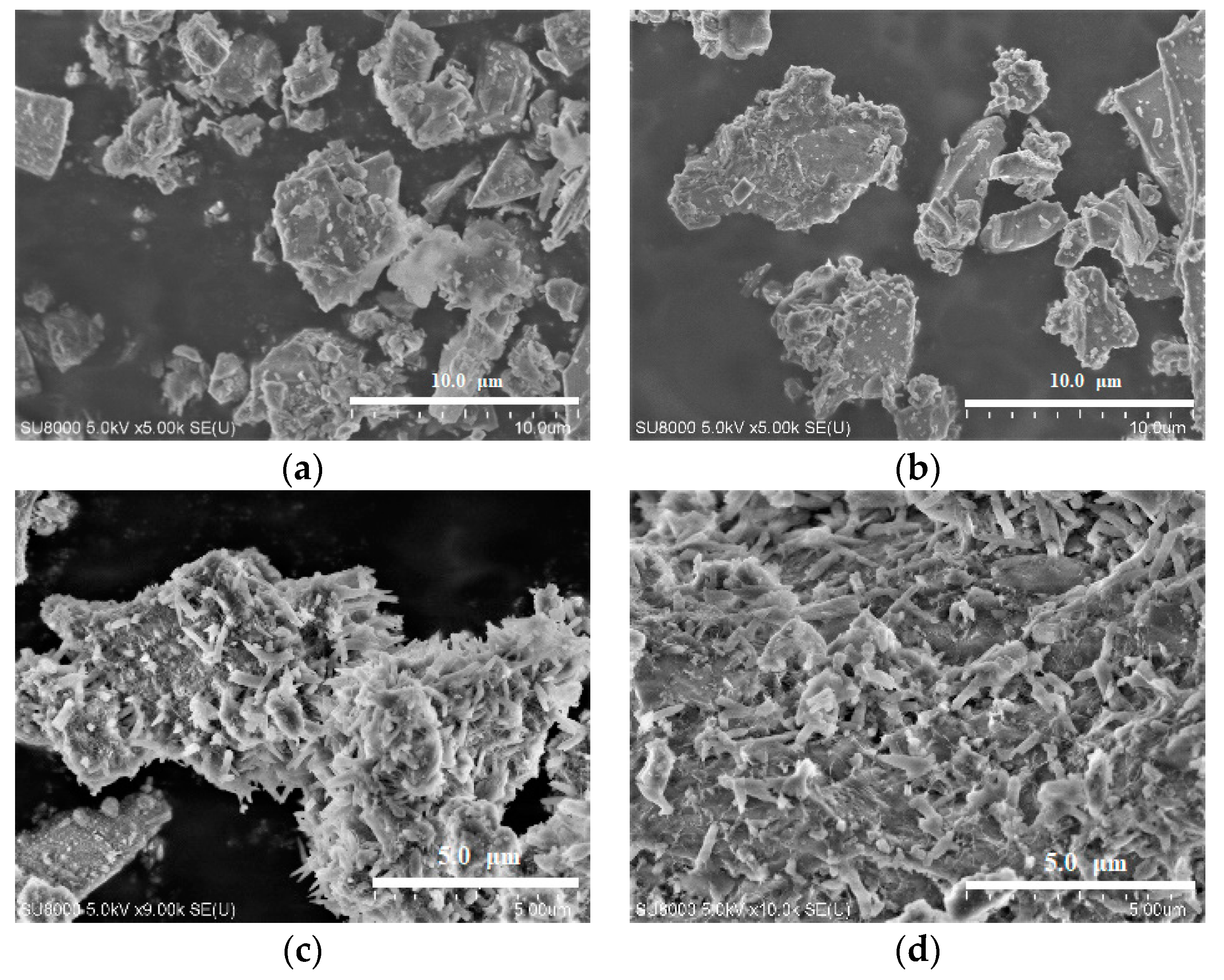 Technologies 06 00079 g003