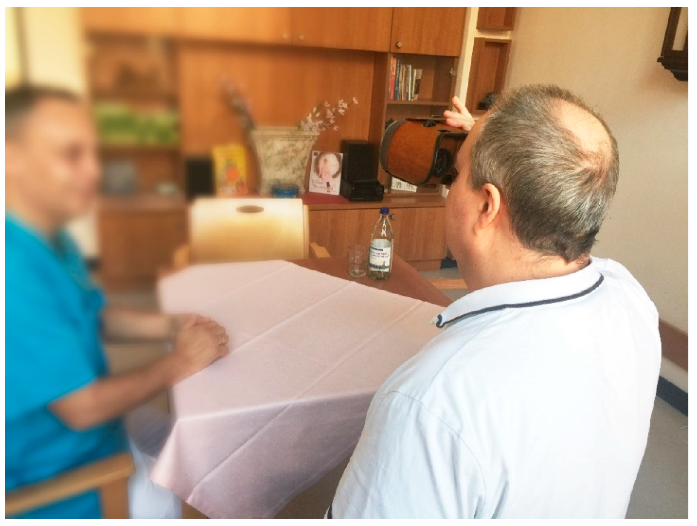 Technologies 06 00104 g011