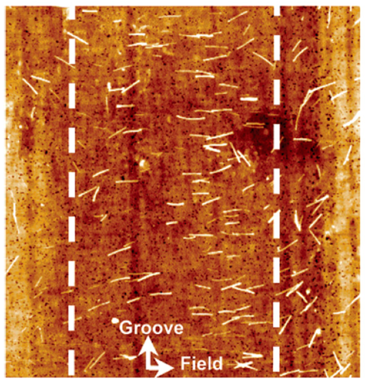 Technologies 07 00032 g006