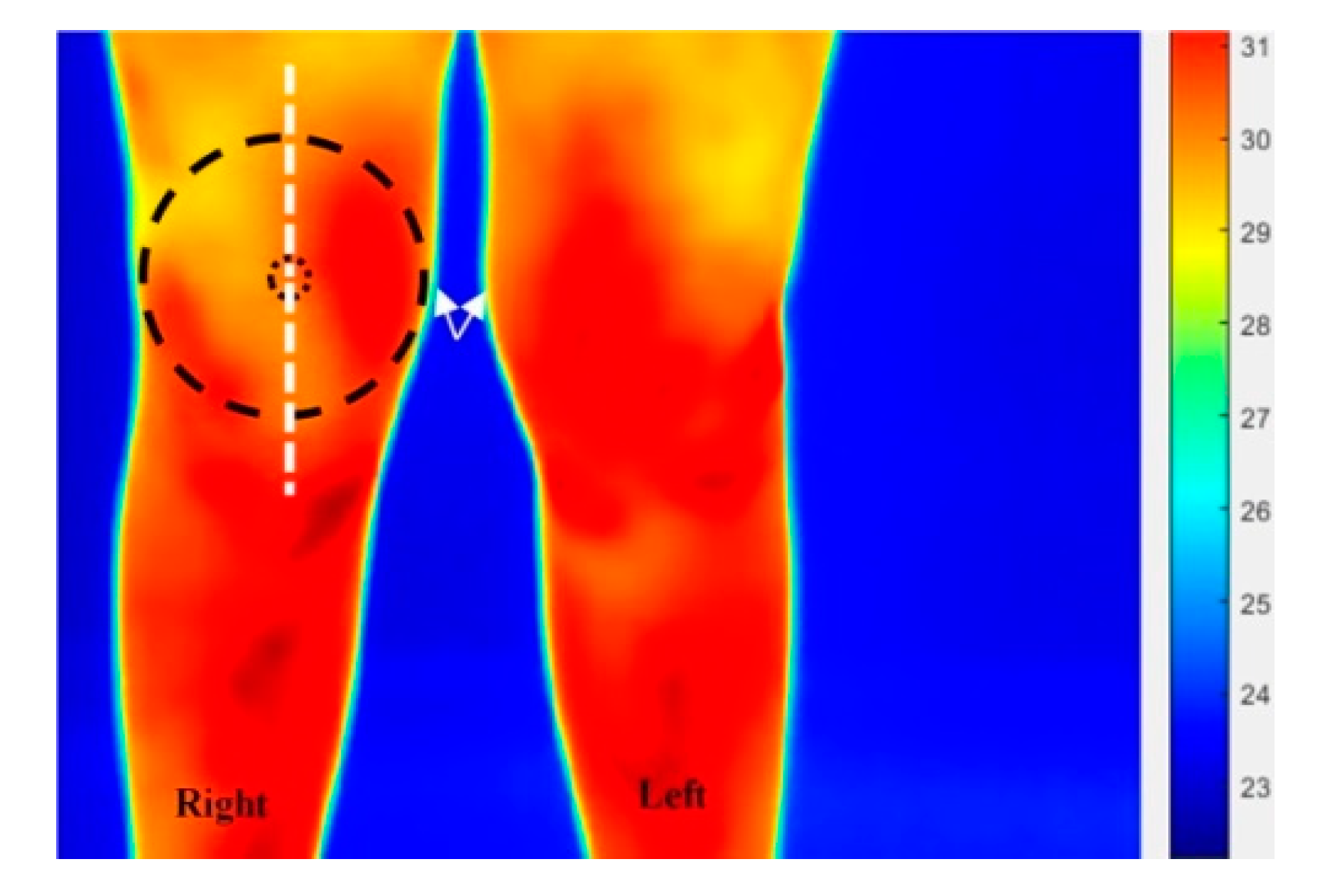 Technologies 08 00030 g001