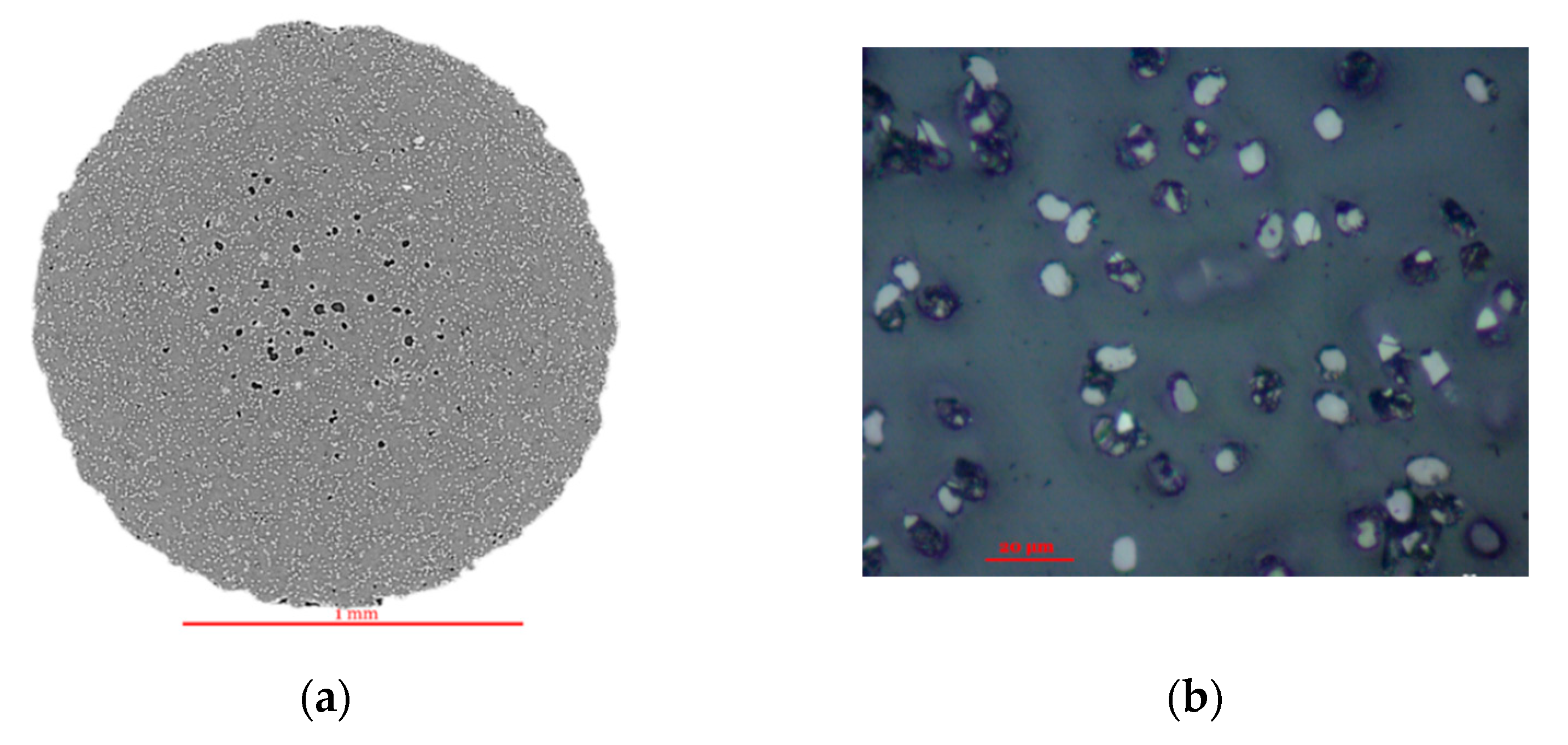 Technologies 08 00051 g003a